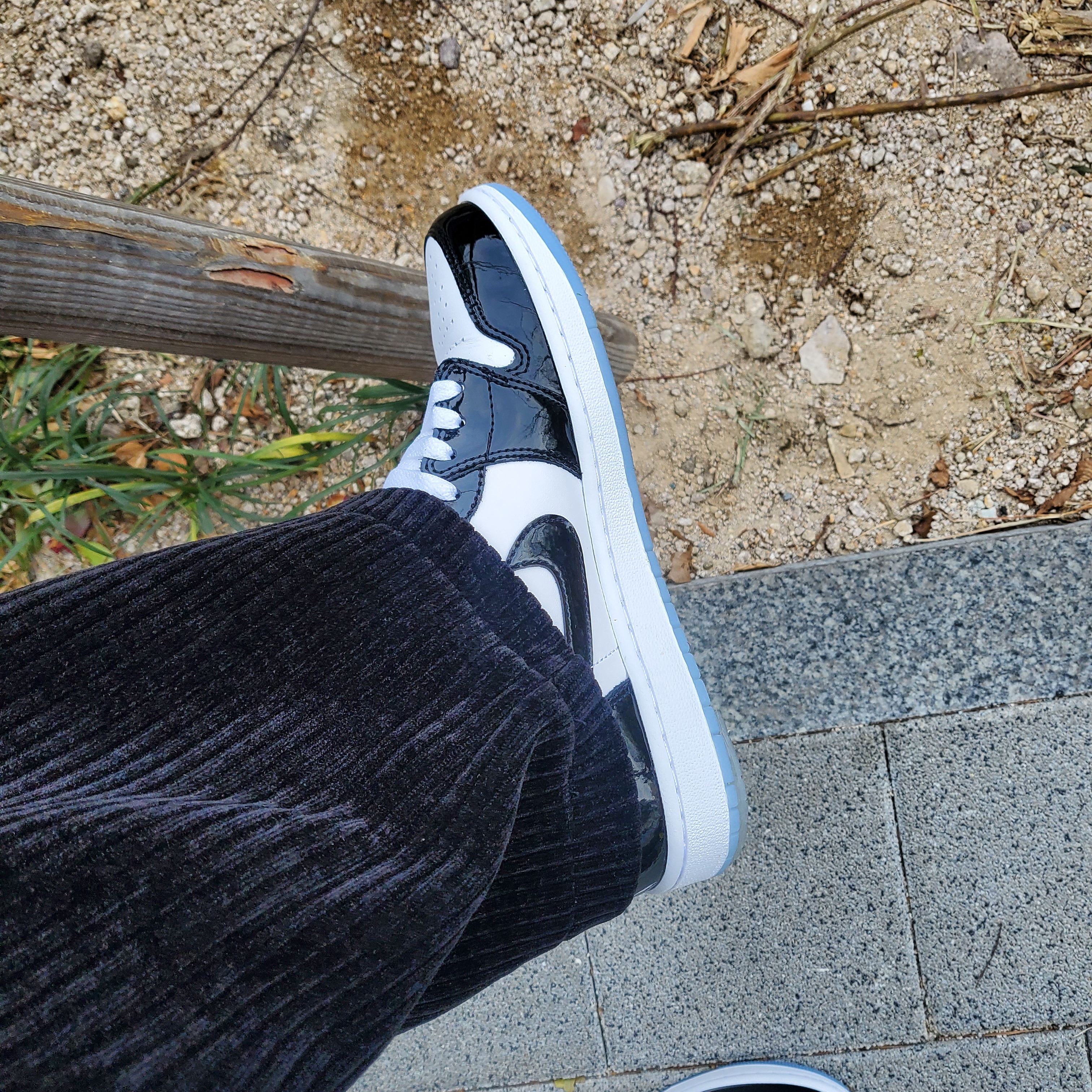Jordan 1 Low SE Concord 착용 스타일