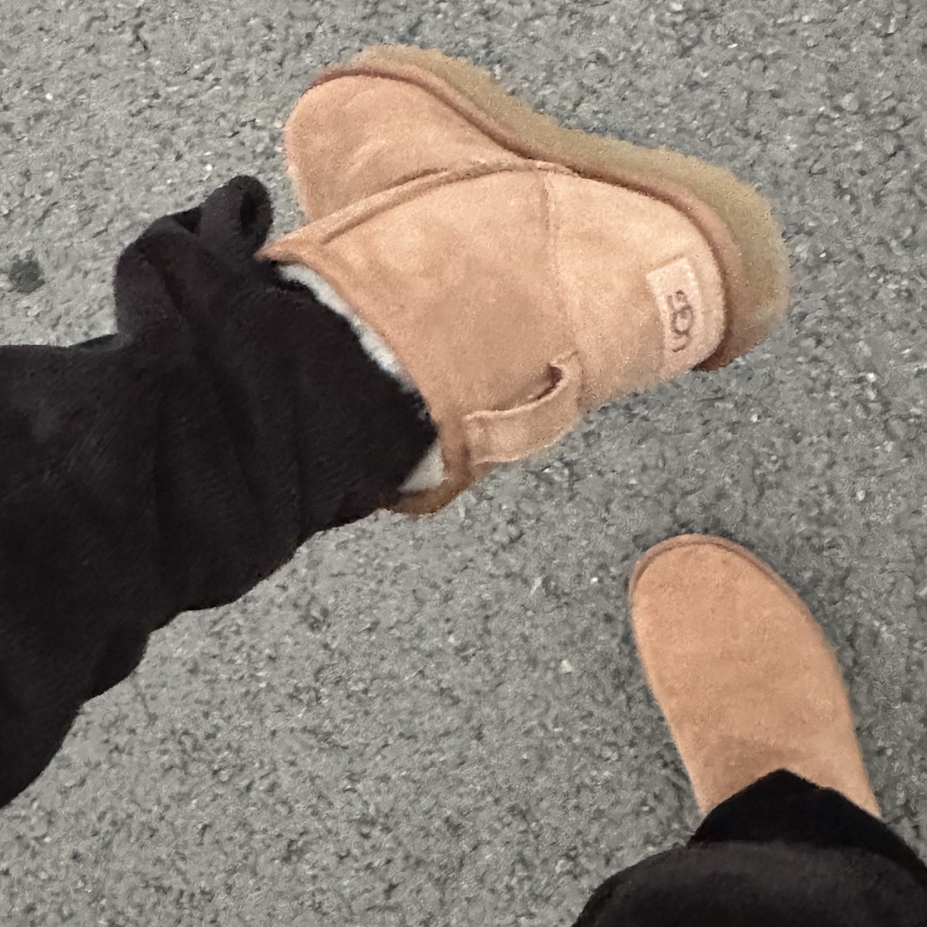 (W) UGG Classic Mini II Boots Chestnut 착용 스타일