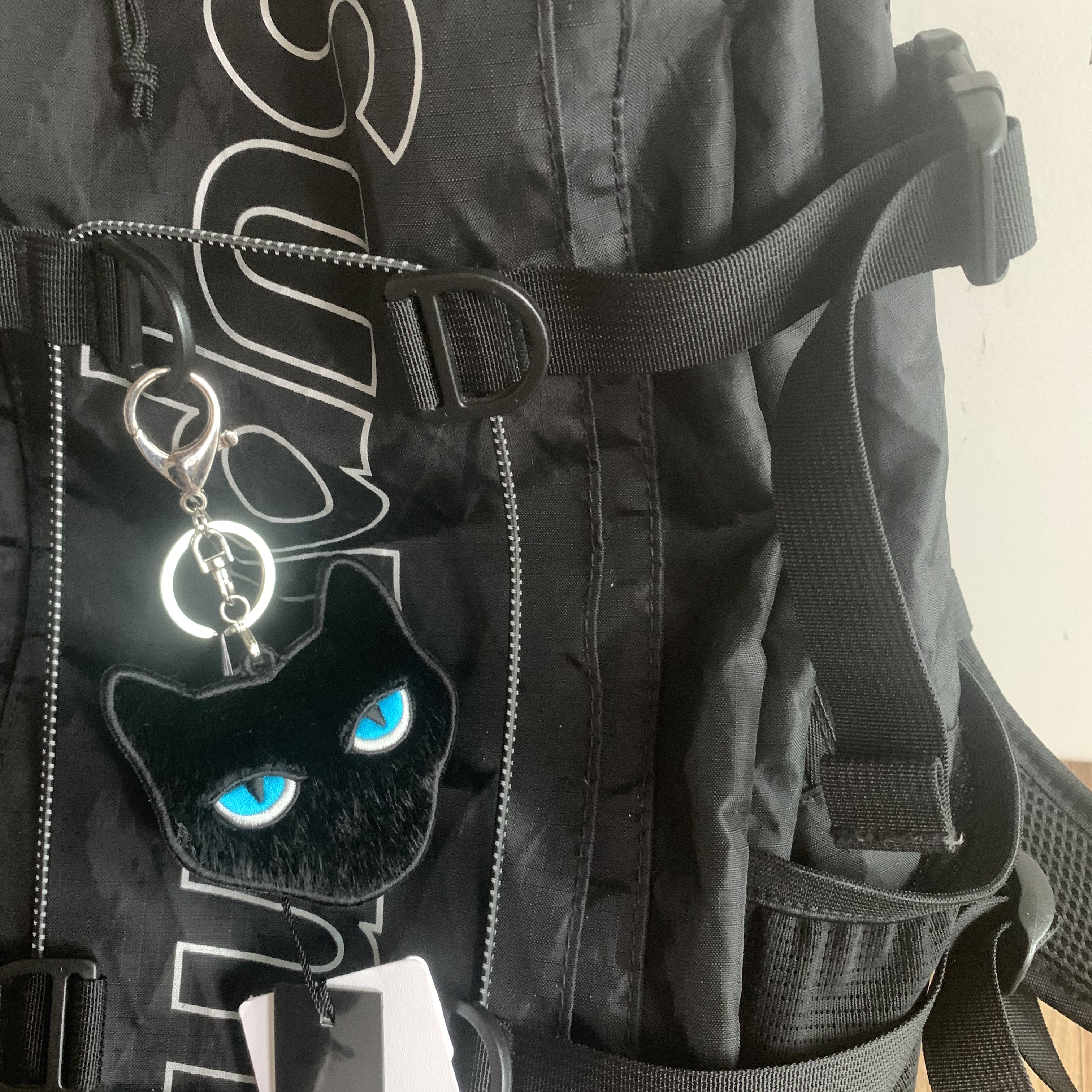 Supreme Backpack Black - 18FW 착용 스타일