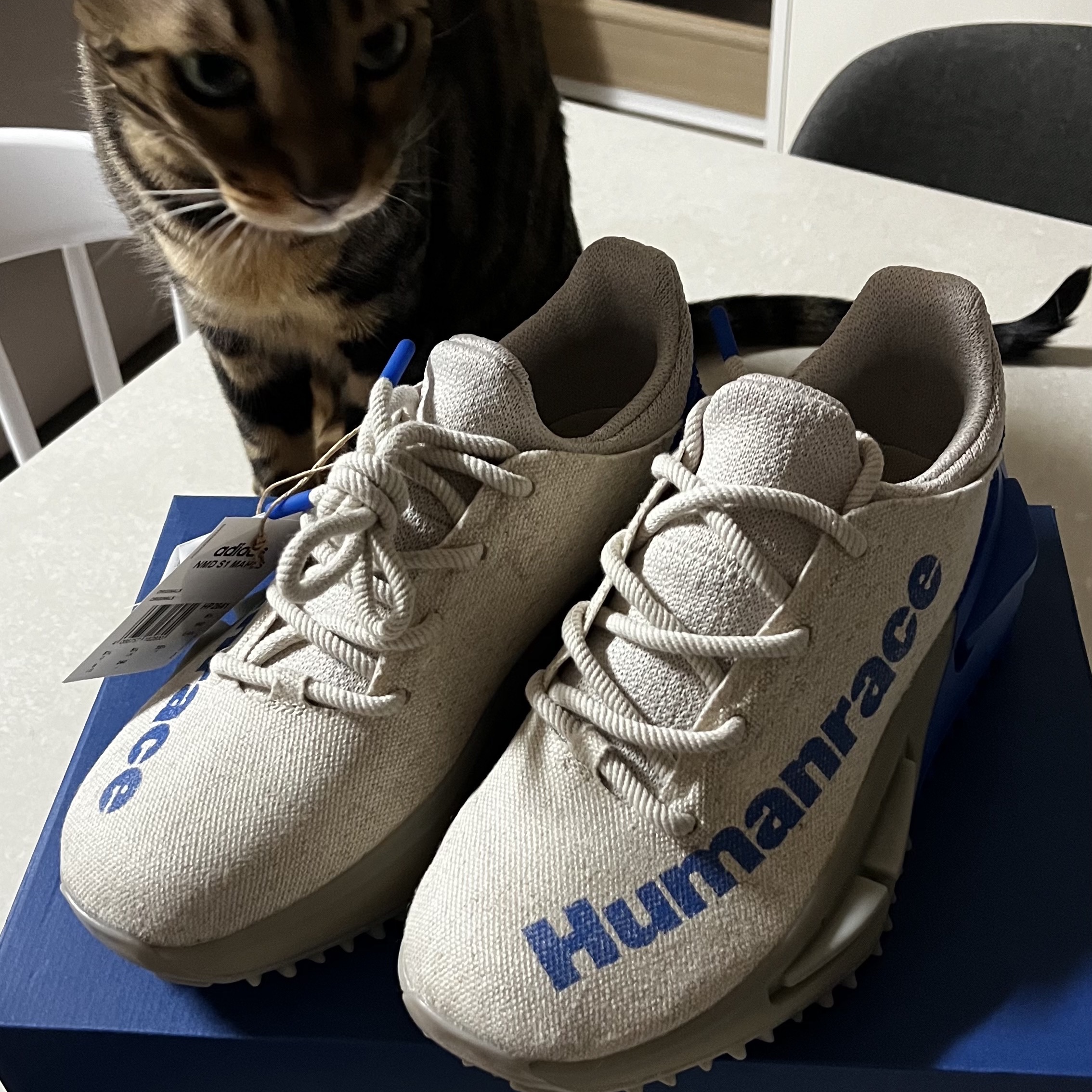 Adidas x Pharrell Williams Humanrace NMD S1 Mahbs Light Brown Bold Blue 착용 스타일