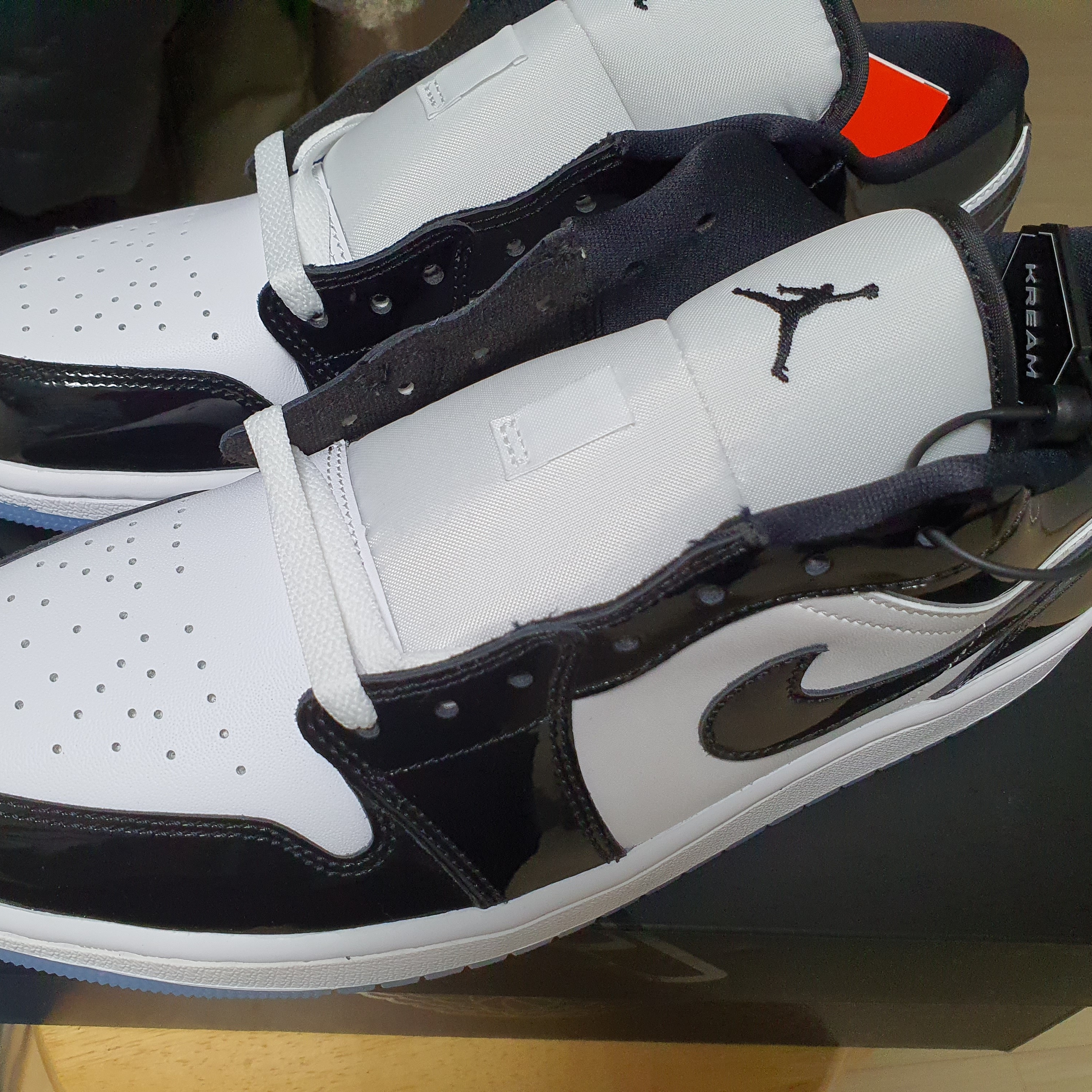 Jordan 1 Low SE Concord 착용 스타일