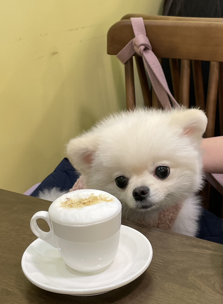 관심 유저 프로필 이미지