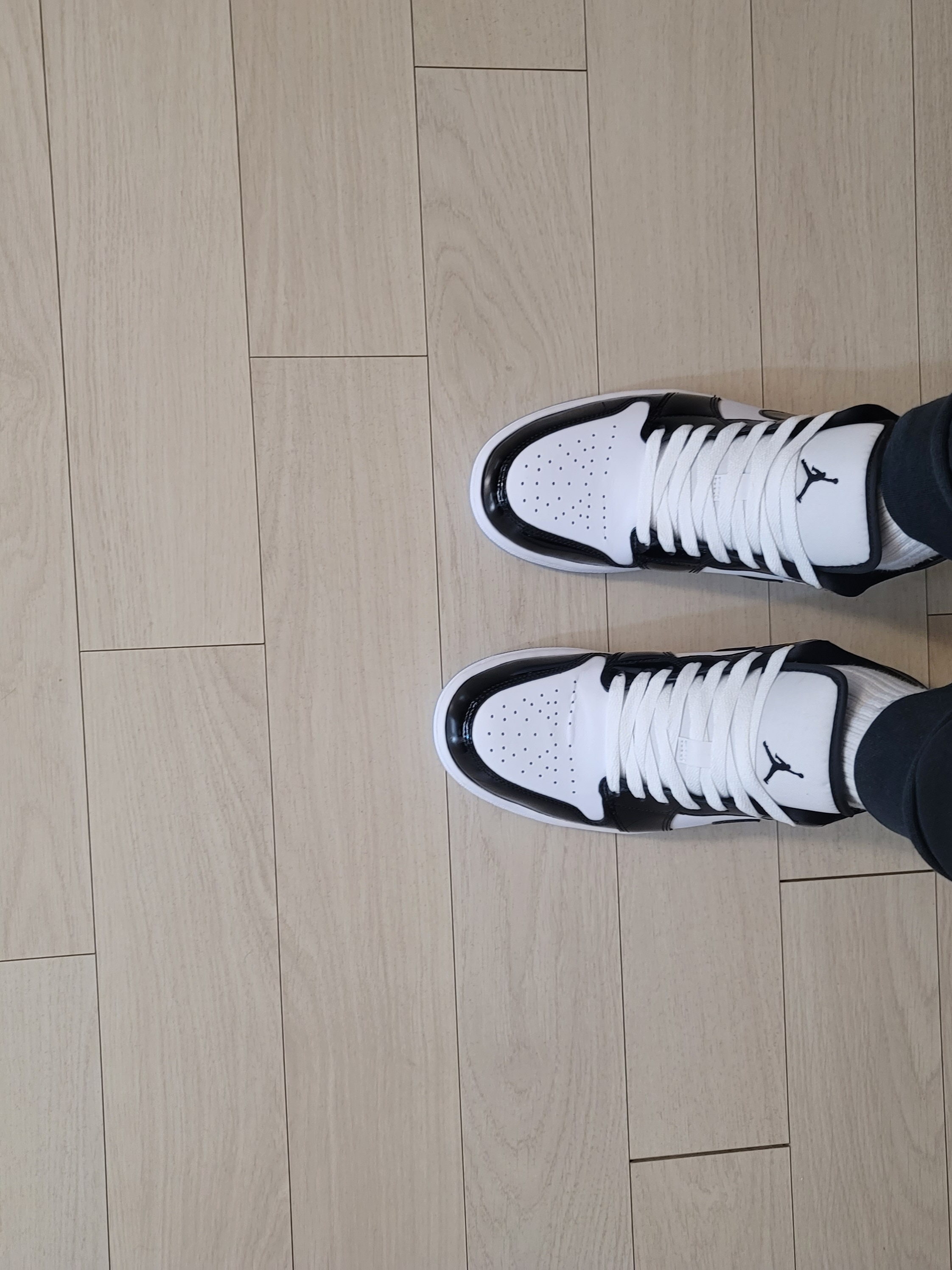 Jordan 1 Low SE Concord 착용 스타일