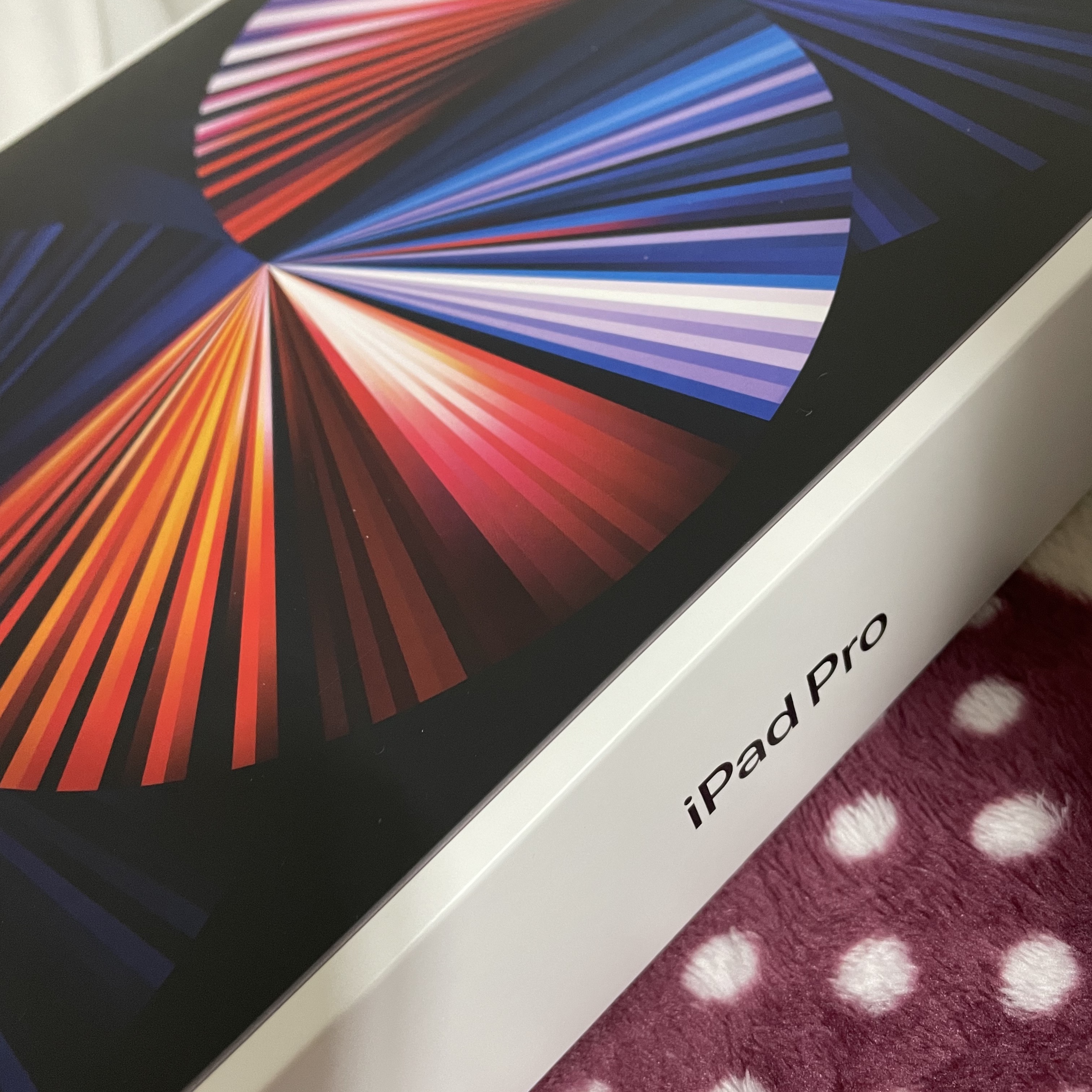 Apple iPad Pro 5th Gen 12.9-inch Wifi 128GB Space Gray (Korean Ver.) 착용 스타일