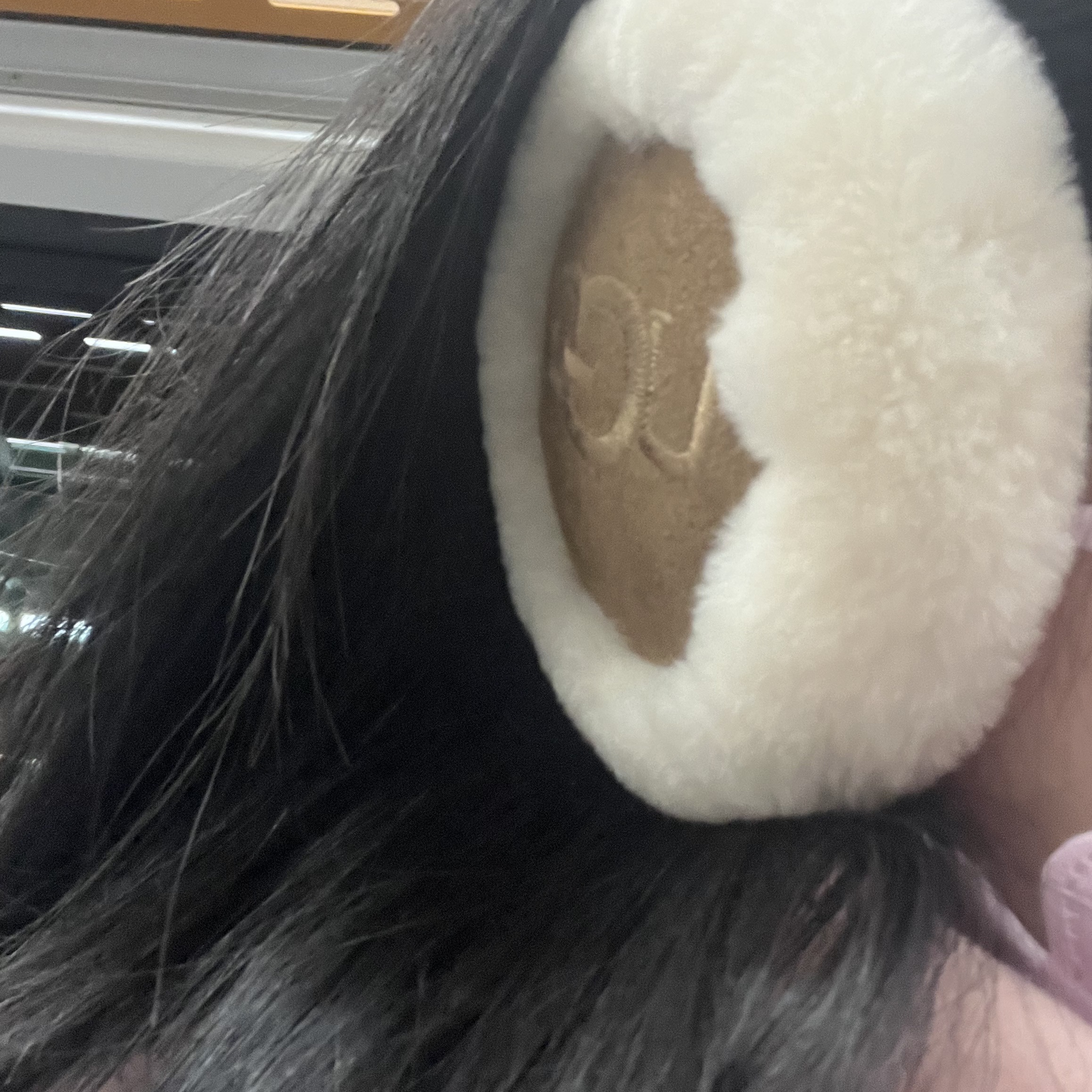 (W) UGG Embroidered Logo Earmuff Chestnut 착용 스타일