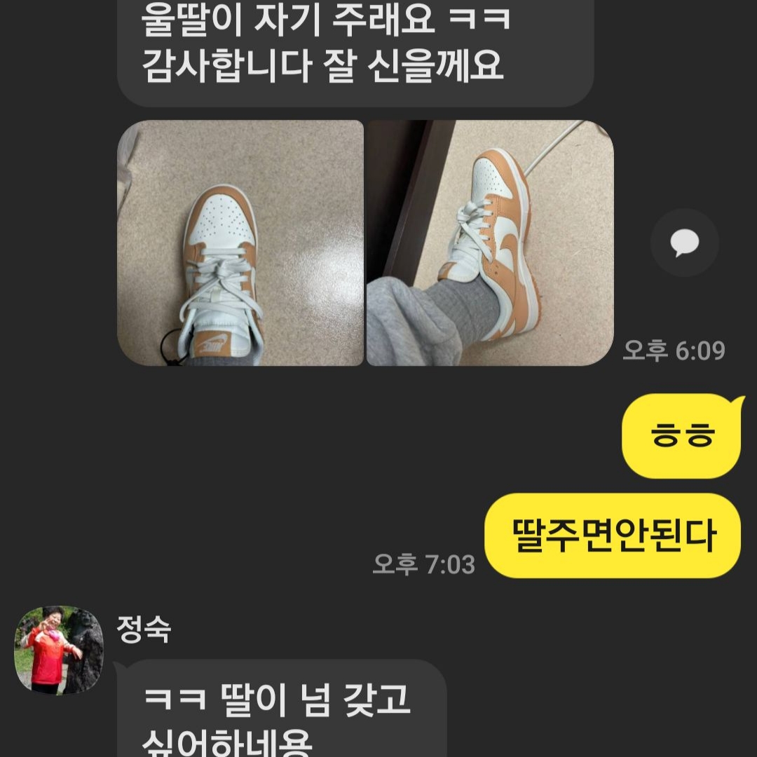 (W) Nike Dunk Low Harvest Moon 착용 스타일