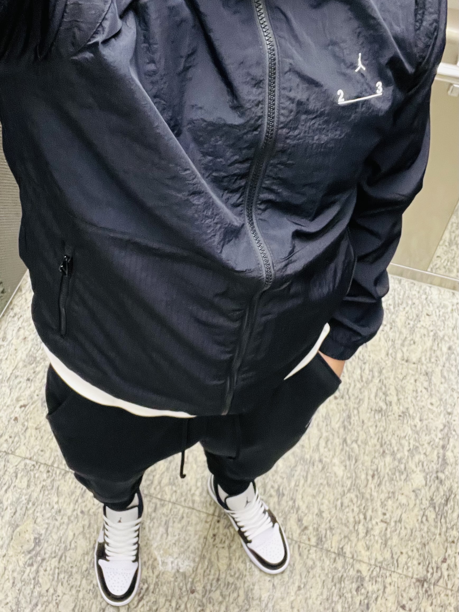 Jordan 1 Low SE Concord 착용 스타일 - 1