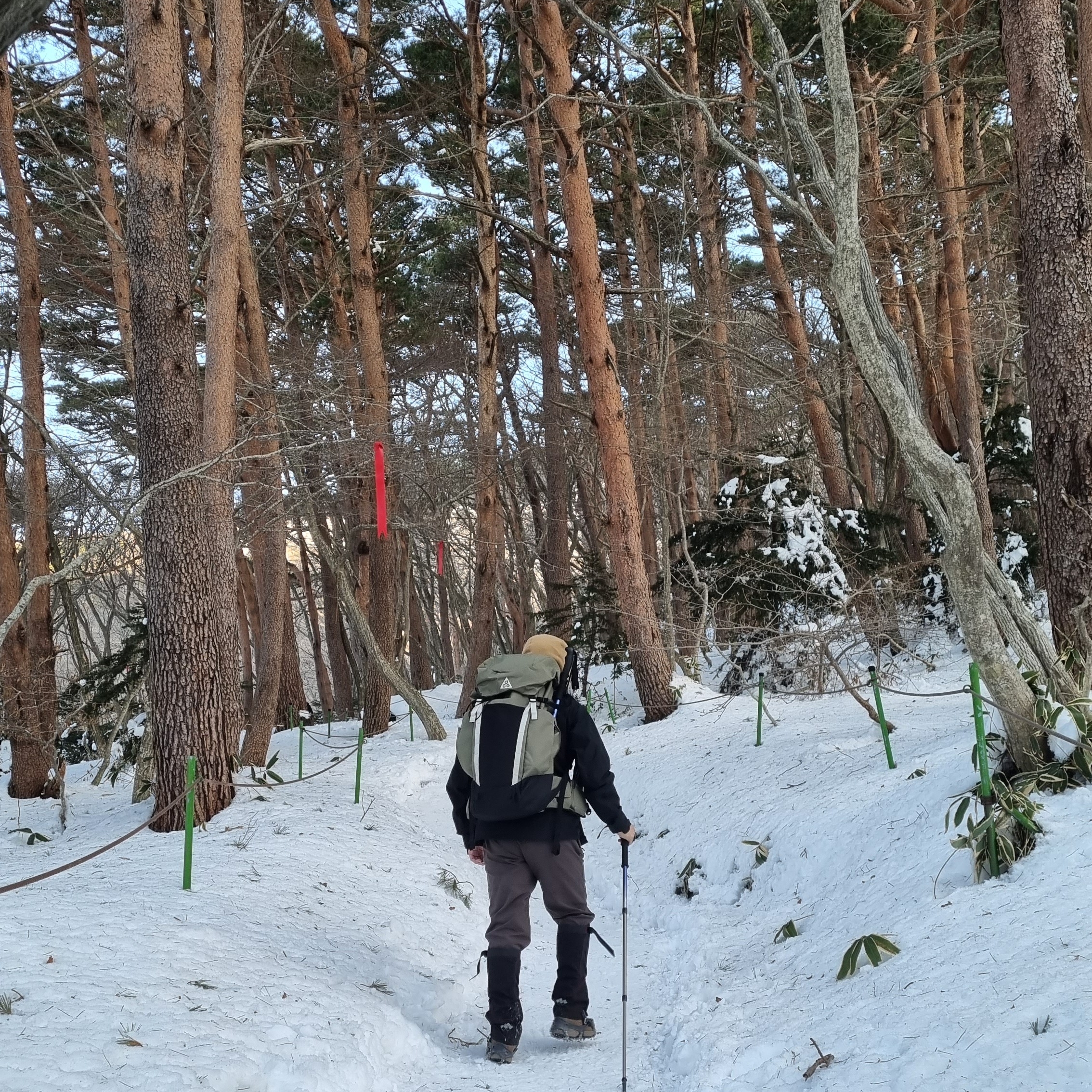 Nike ACG 36 Backpack Medium Olive, Nike ACG Trail Pants Velvet Brown - Asia 착용 스타일 - 1