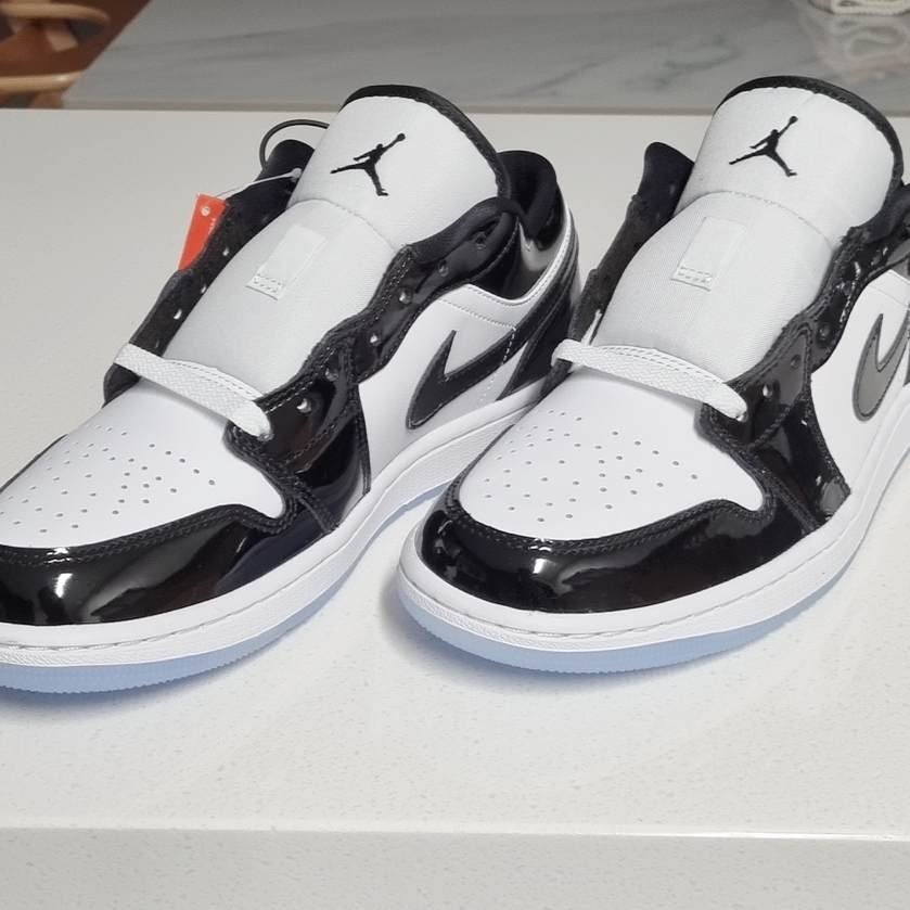 Jordan 1 Low SE Concord 착용 스타일
