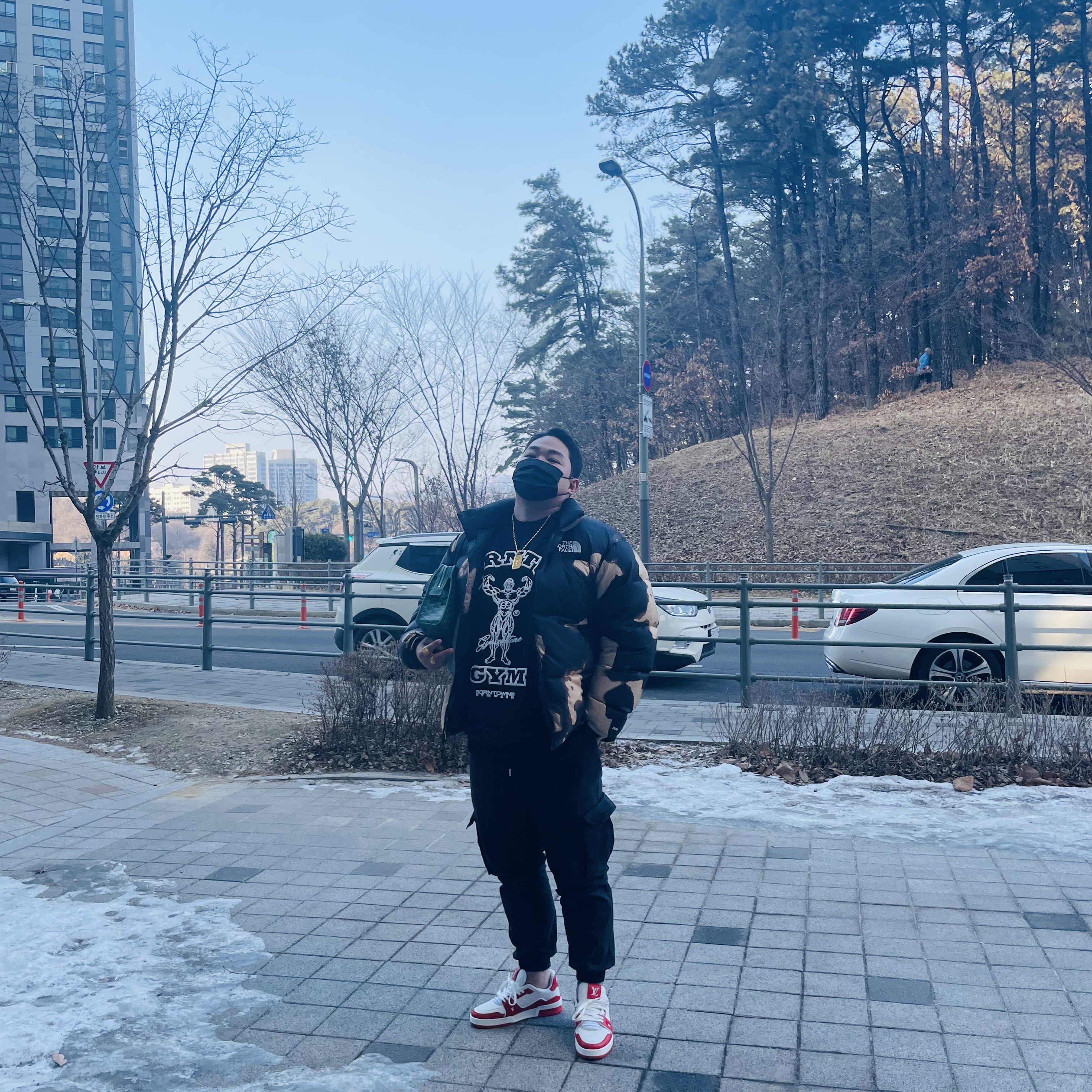 Louis Vuitton LV Trainer Sneakers Red, Supreme x The North Face Bleached Denim Print Nuptse Jacket Black - 21FW 착용 스타일