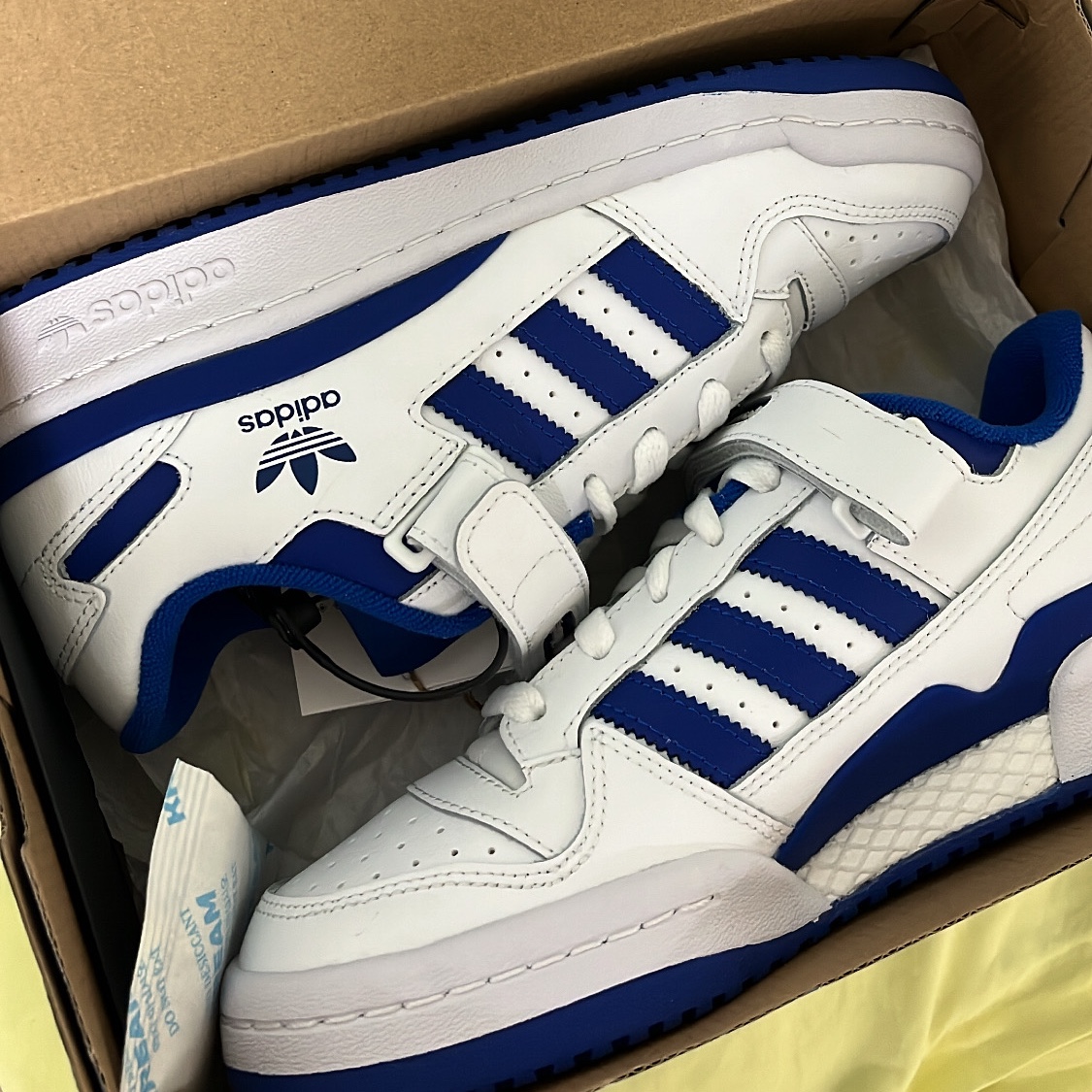 Adidas Forum Low White Royal Blue 착용 스타일
