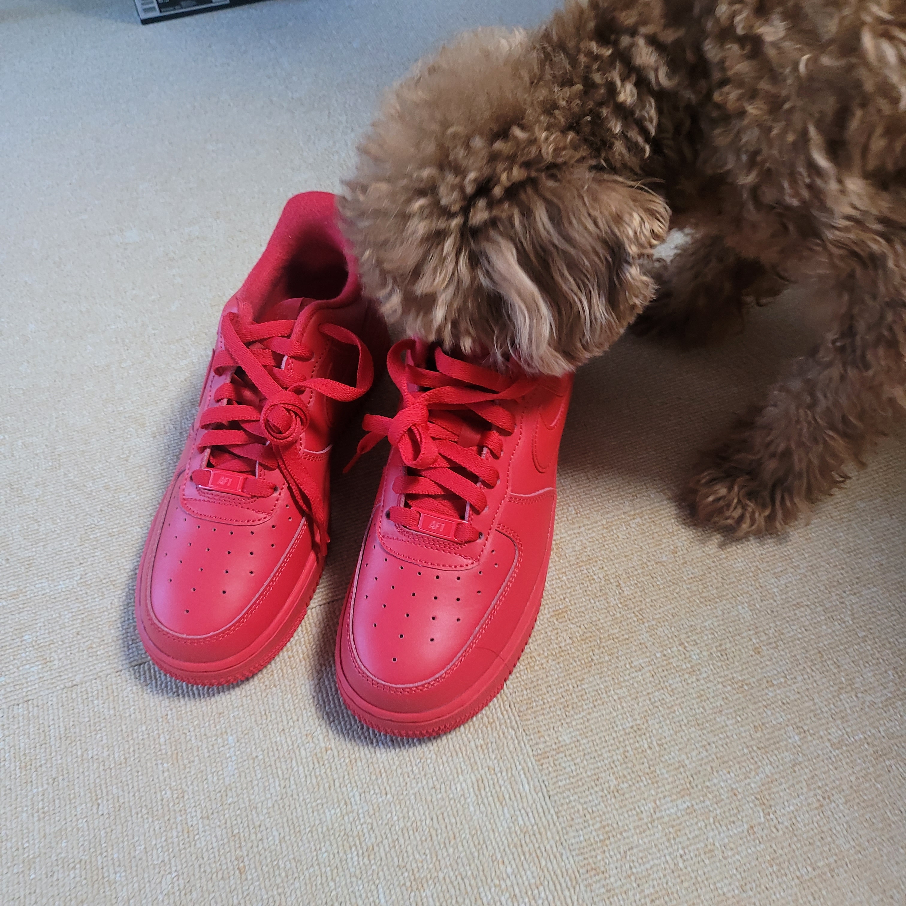 Nike Air Force 1 '07 LV8 Low 1 Triple Red 착용 스타일