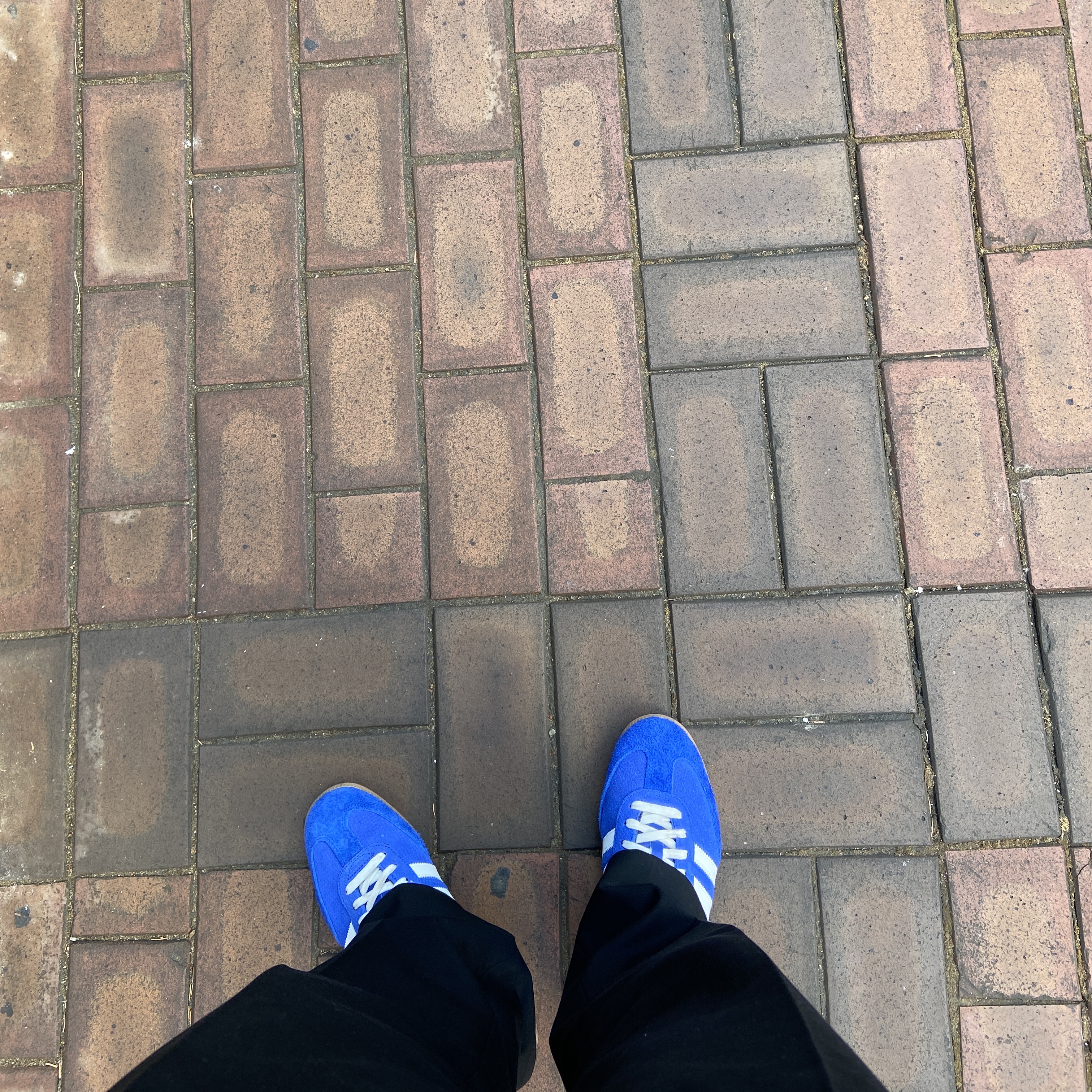 Adidas Samba OG Royal Blue 착용 스타일