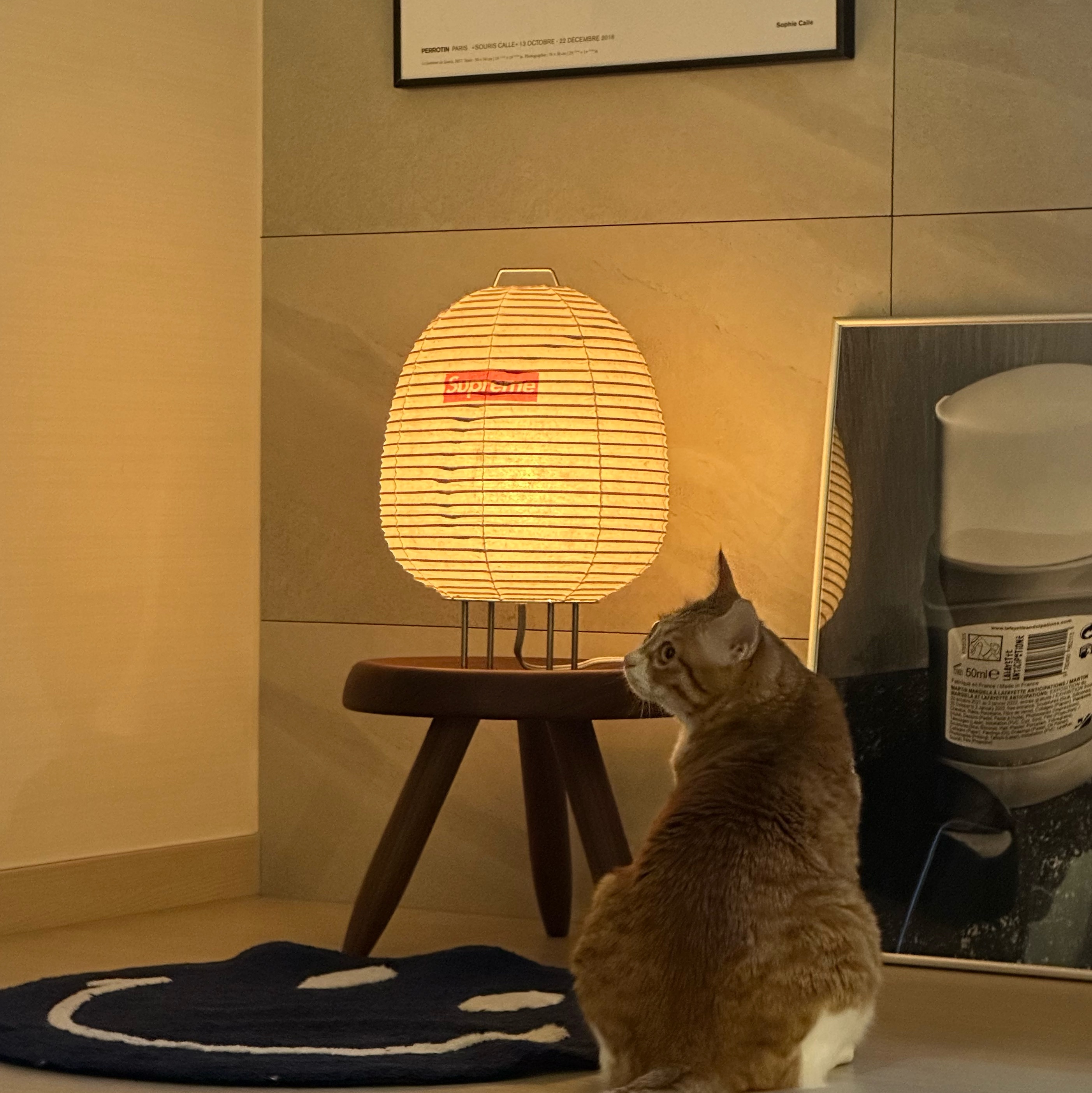 Supreme x Kojima Shoten Lamp Natural 착용 스타일