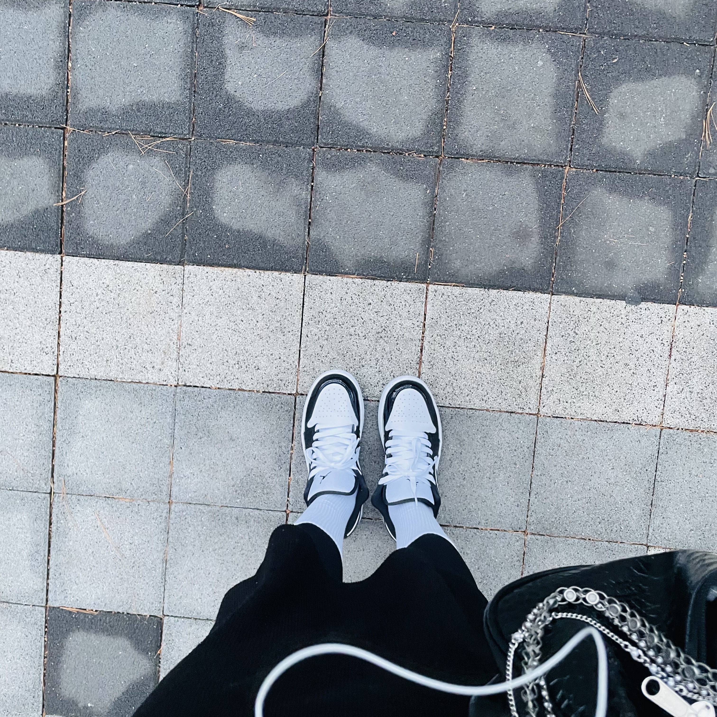 Jordan 1 Low SE Concord 착용 스타일