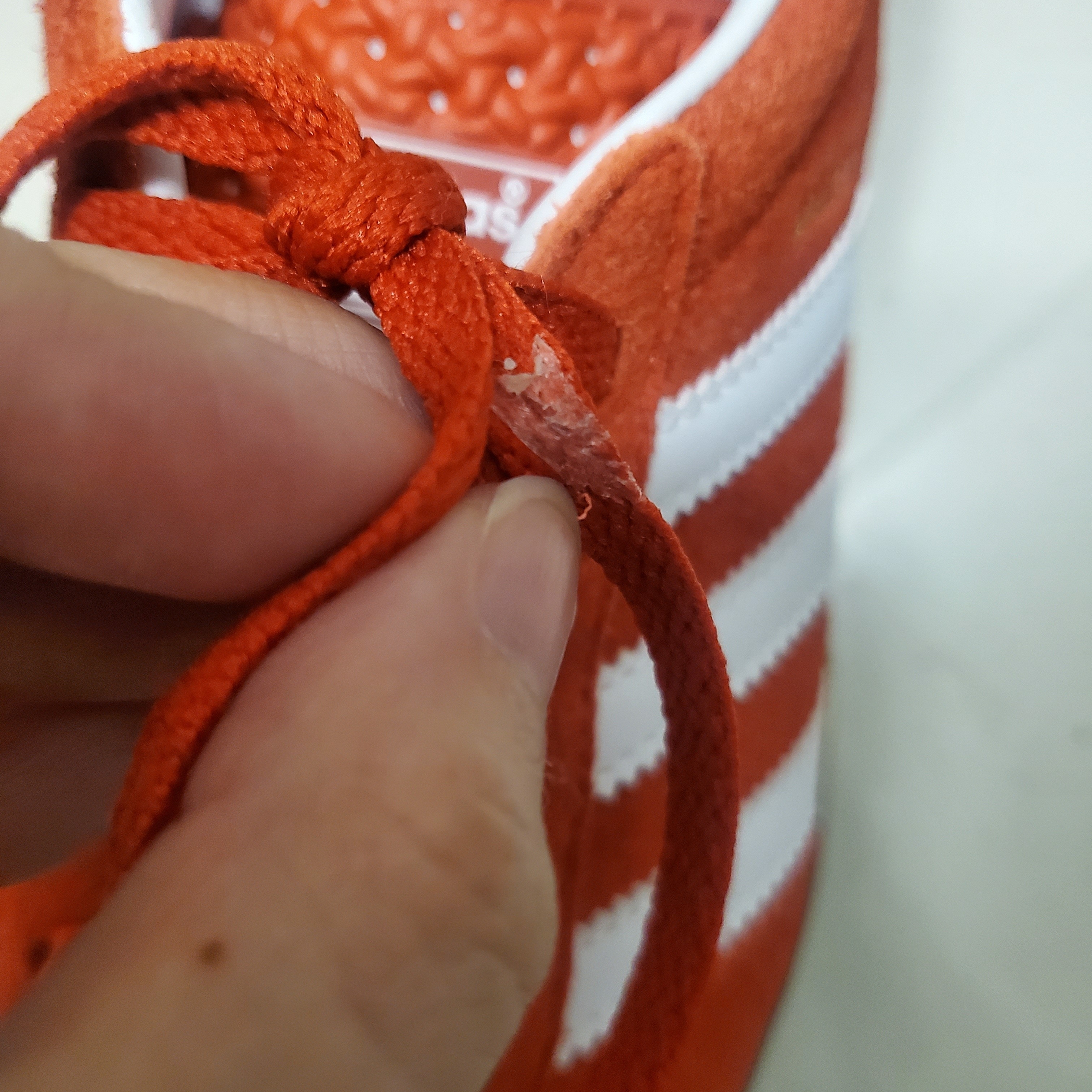 (W) Adidas Gazelle Indoor Bold Orange Cloud White 착용 스타일 - 1