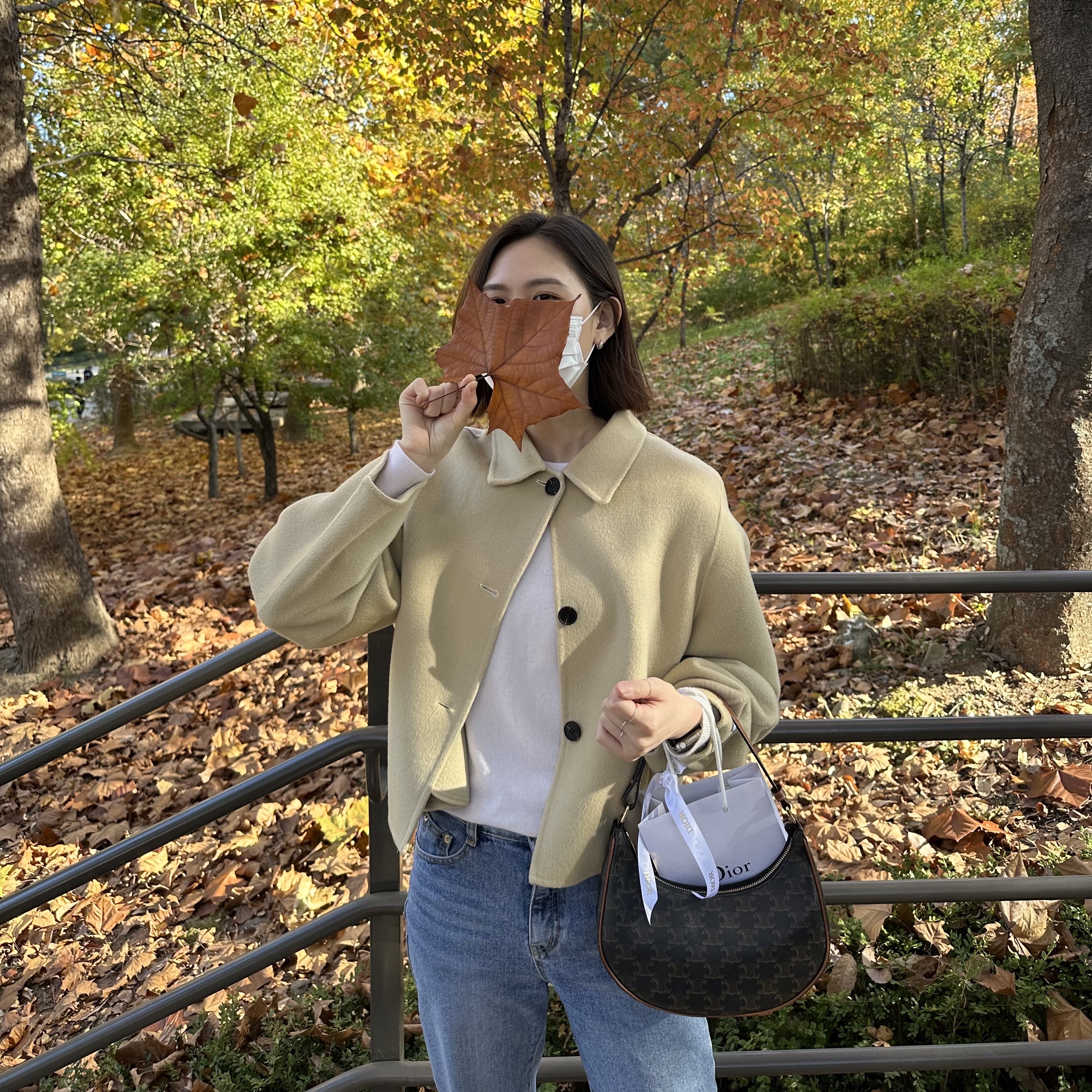 Celine Ava Bag in Triomphe Canvas and Calfskin Tan 착용 스타일