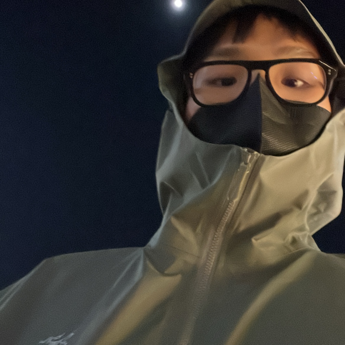 Arc'teryx Beta Jacket Forage 착용 스타일 - 2