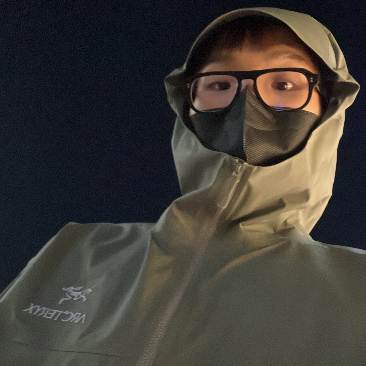 Arc'teryx Beta Jacket Forage 착용 스타일 - 1