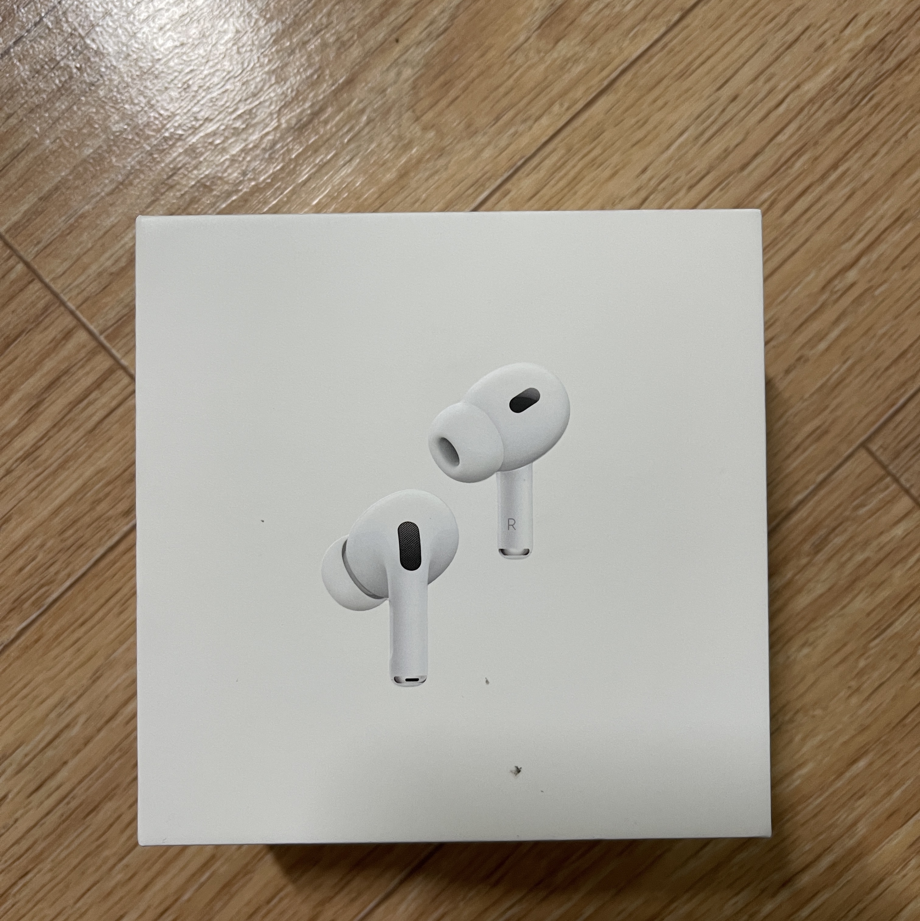 Apple AirPods Pro 2nd Gen (Korean Ver.) 착용 스타일 - 4