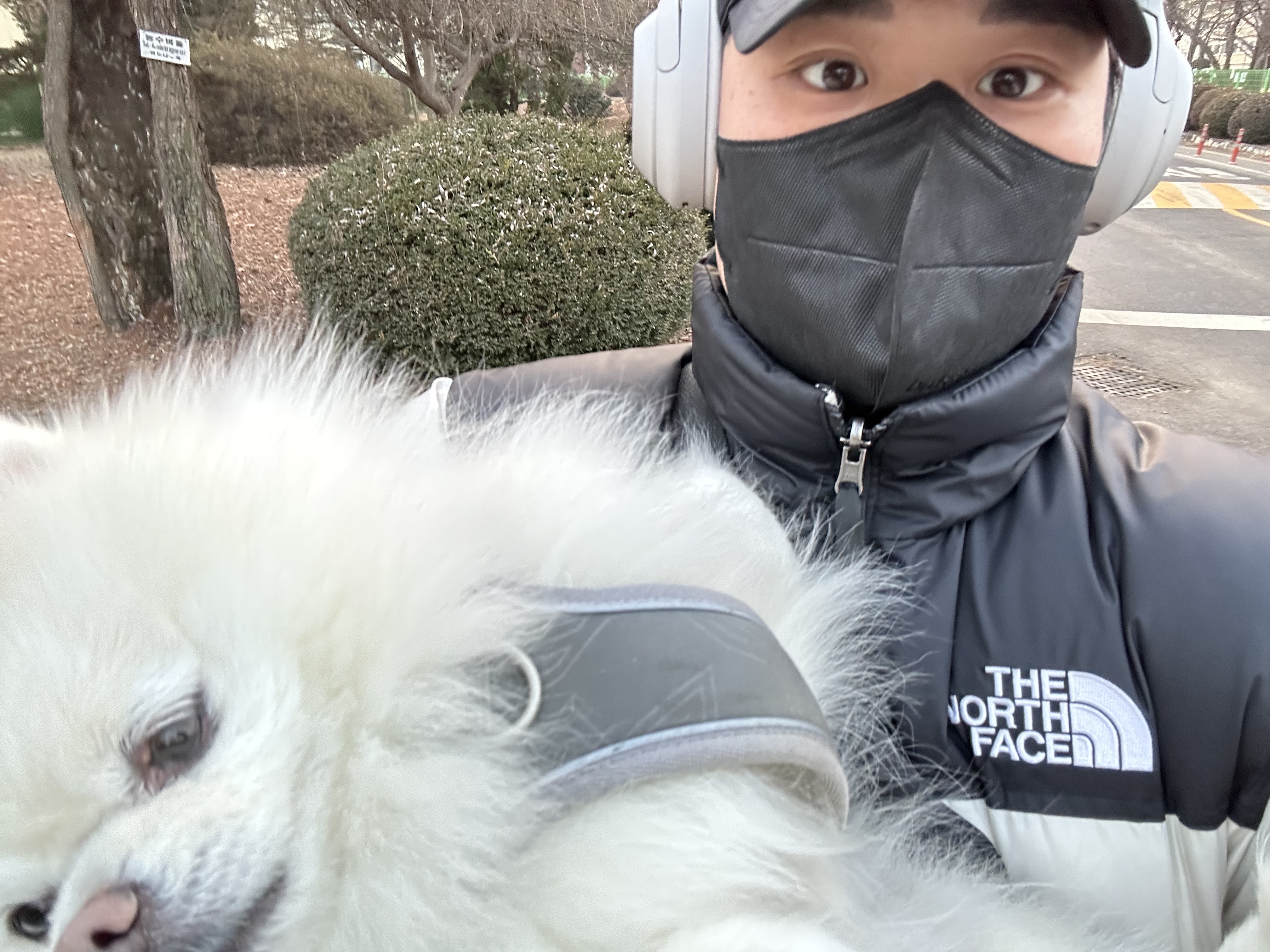 Sony WH-1000XM4 Platinum Silver (Korean Ver.), The North Face Nuptse Hybrid Down Ball White Sand 착용 스타일 - 1