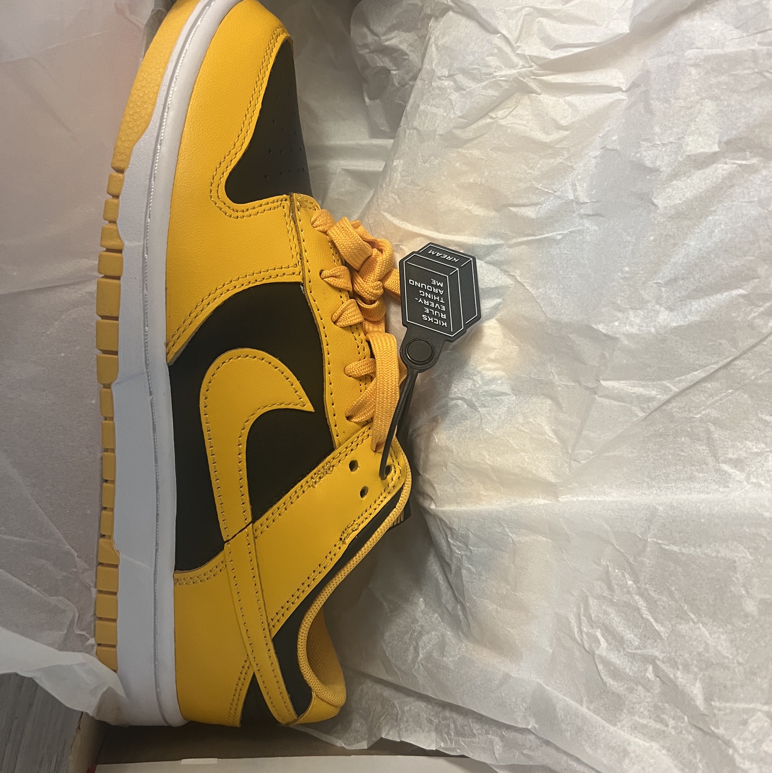 Nike Dunk Low Retro Championship Goldenrod 착용 스타일