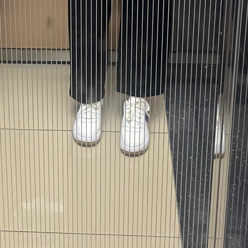 (GS) Nike Air Force 1 White Game Royal 착용 스타일 - 2