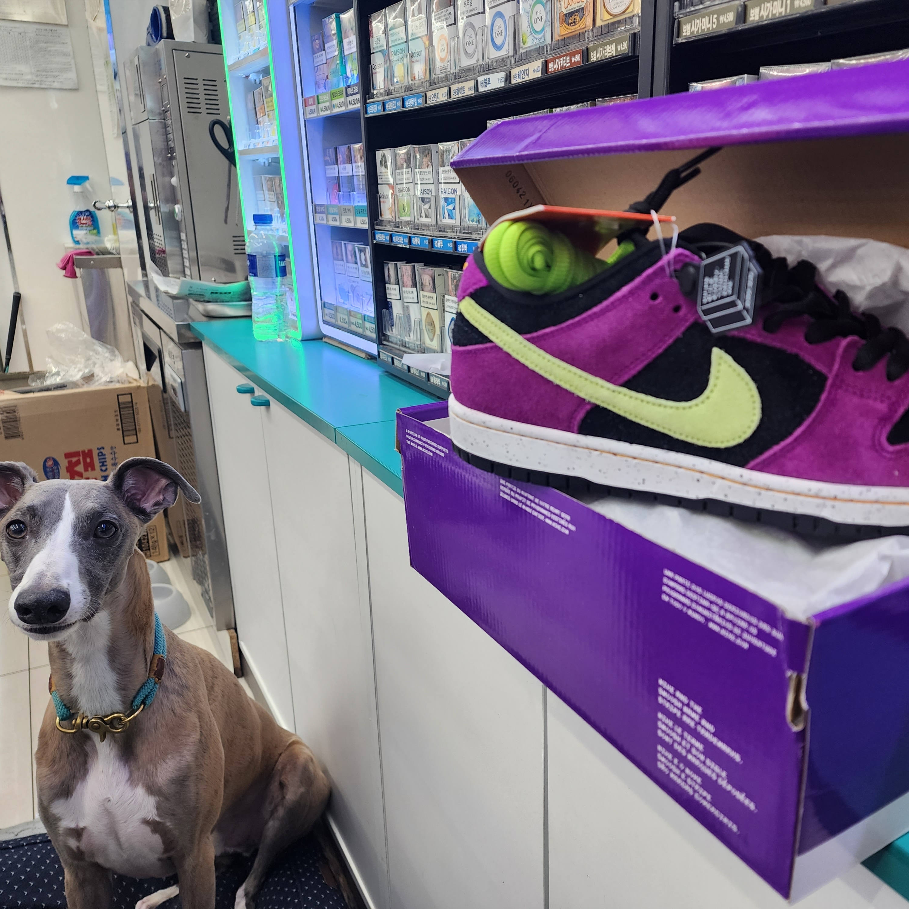 Nike SB Dunk Low Pro Red Plum 착용 스타일