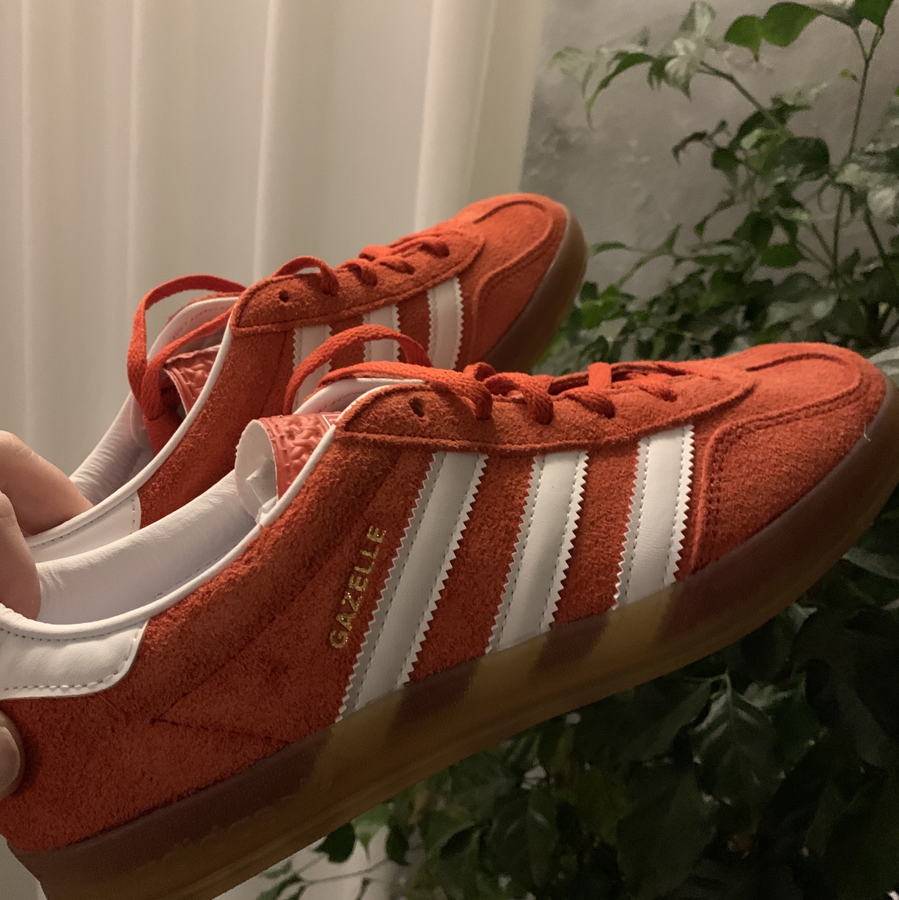 (W) Adidas Gazelle Indoor Bold Orange Cloud White 착용 스타일 - 1