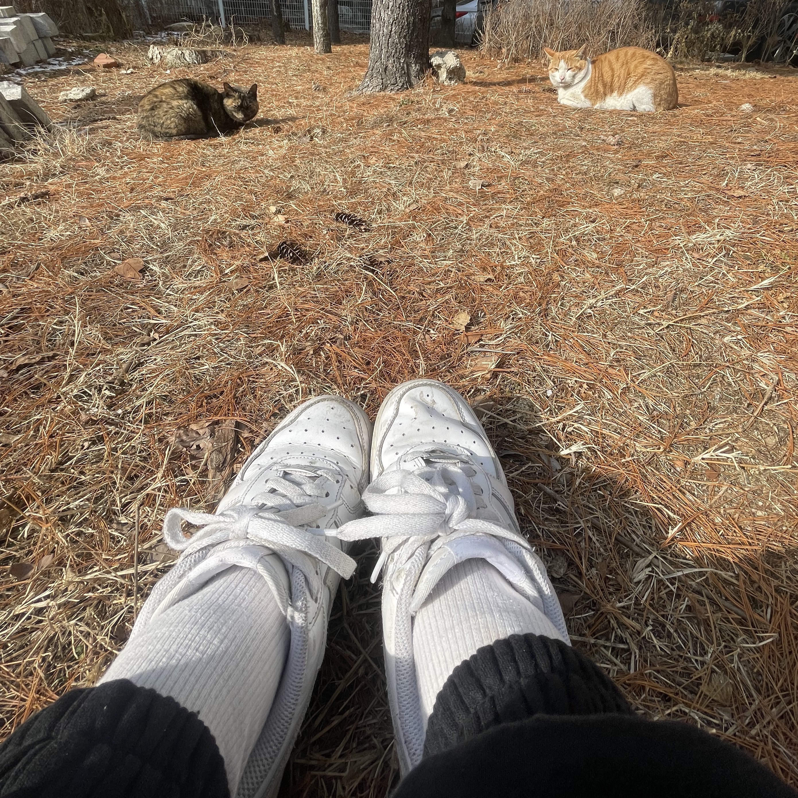 Nike Air Force 1 '07 Low White 착용 스타일 - 2