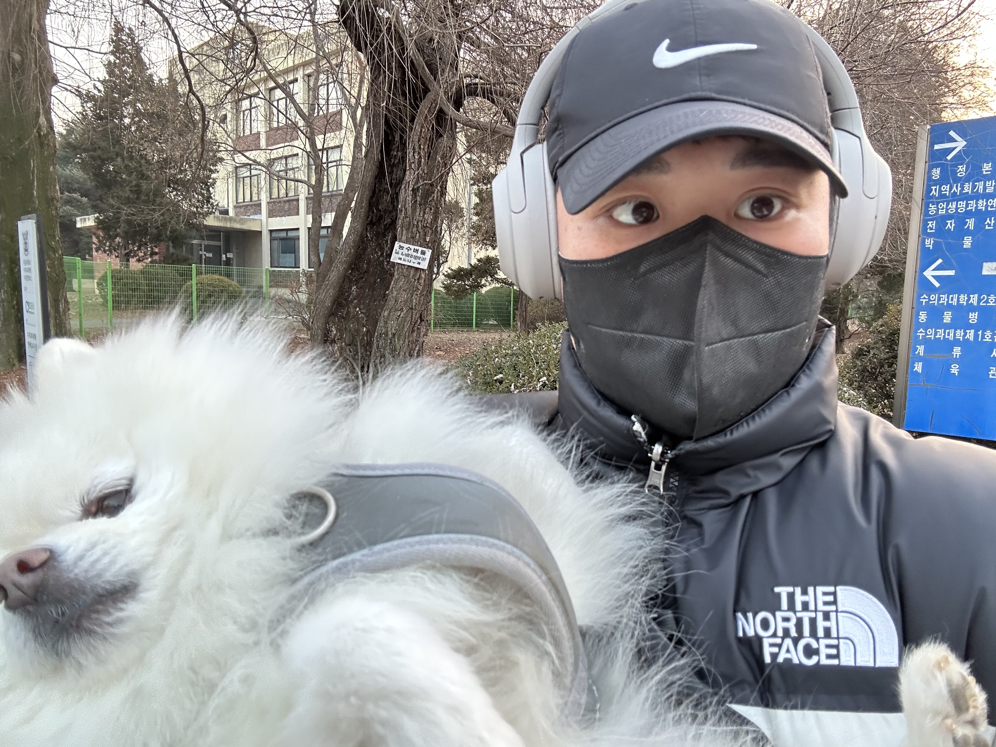 Sony WH-1000XM4 Platinum Silver (Korean Ver.), The North Face Nuptse Hybrid Down Ball White Sand 착용 스타일 - 2