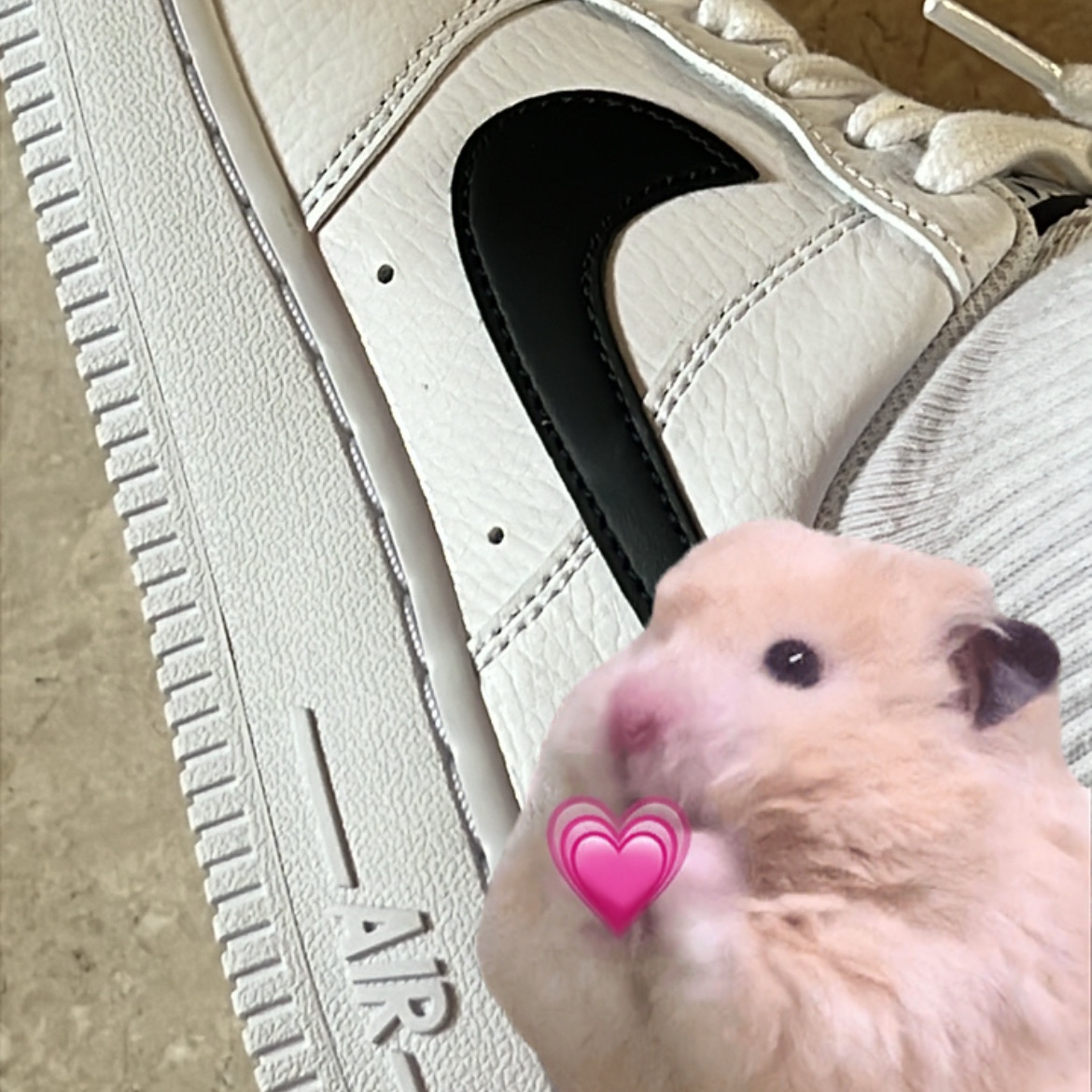 (W) Nike Air Force 1 '07 White Black 착용 스타일