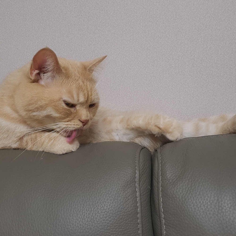 관심 유저 프로필 이미지