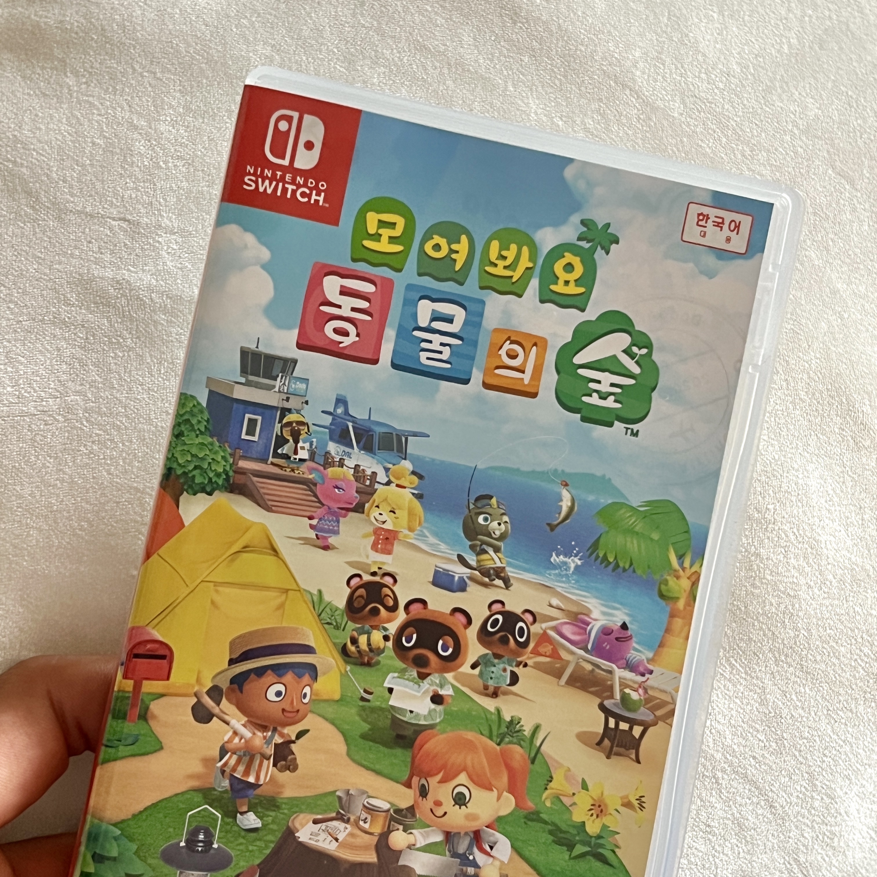 Nintendo Switch Animal Crossing: New Horizons (Korean Ver.) 착용 스타일