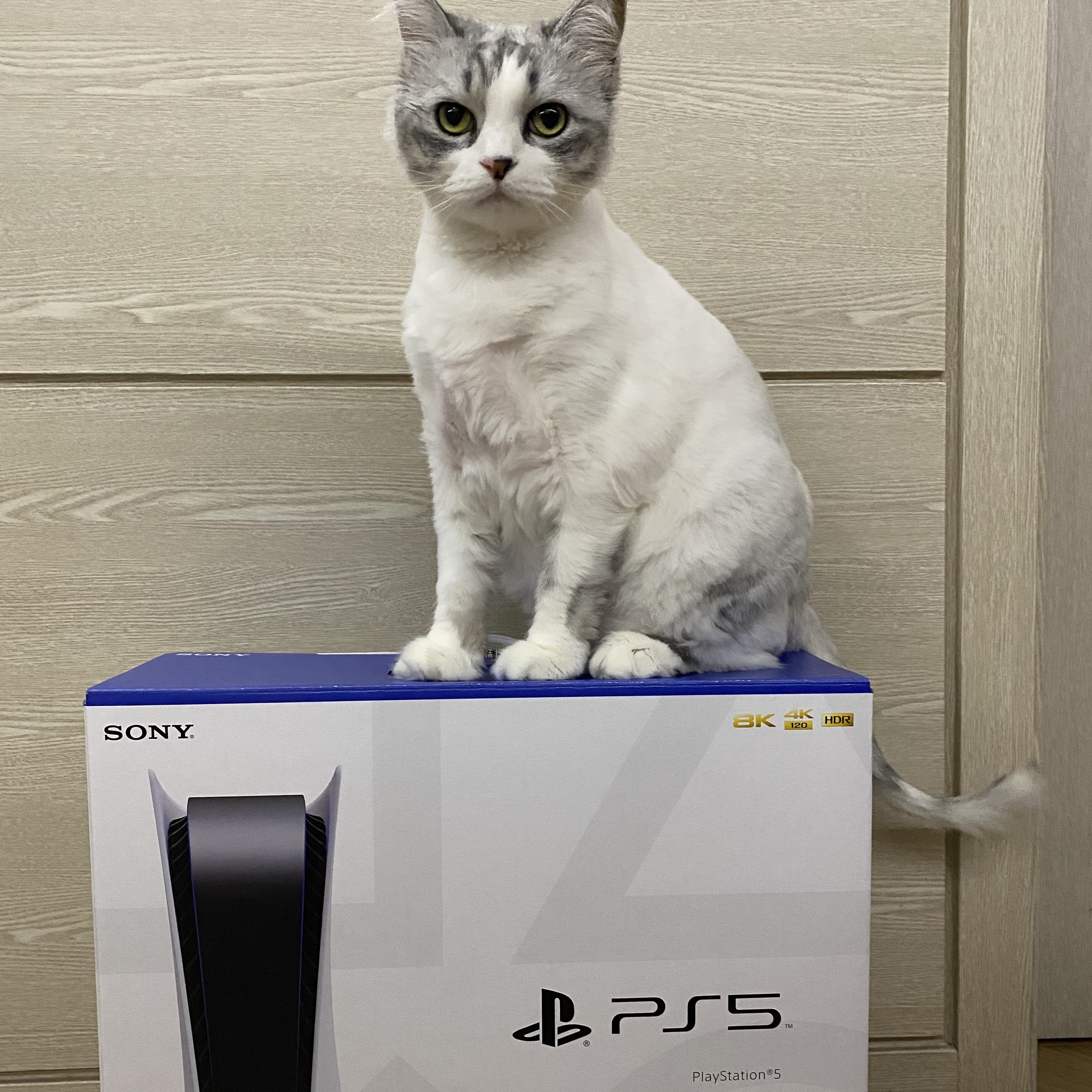 Playstation 5 Blu-ray Edition (SIEK 220V) 착용 스타일