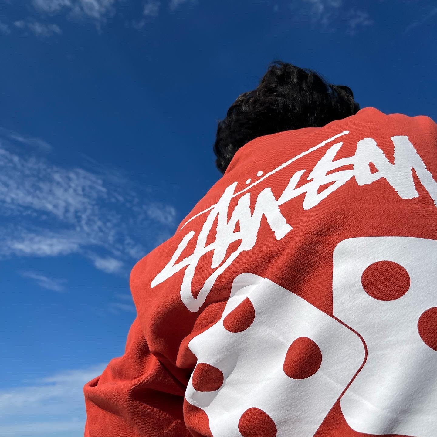 Stussy Dice Crew Brick 착용 스타일 - 1