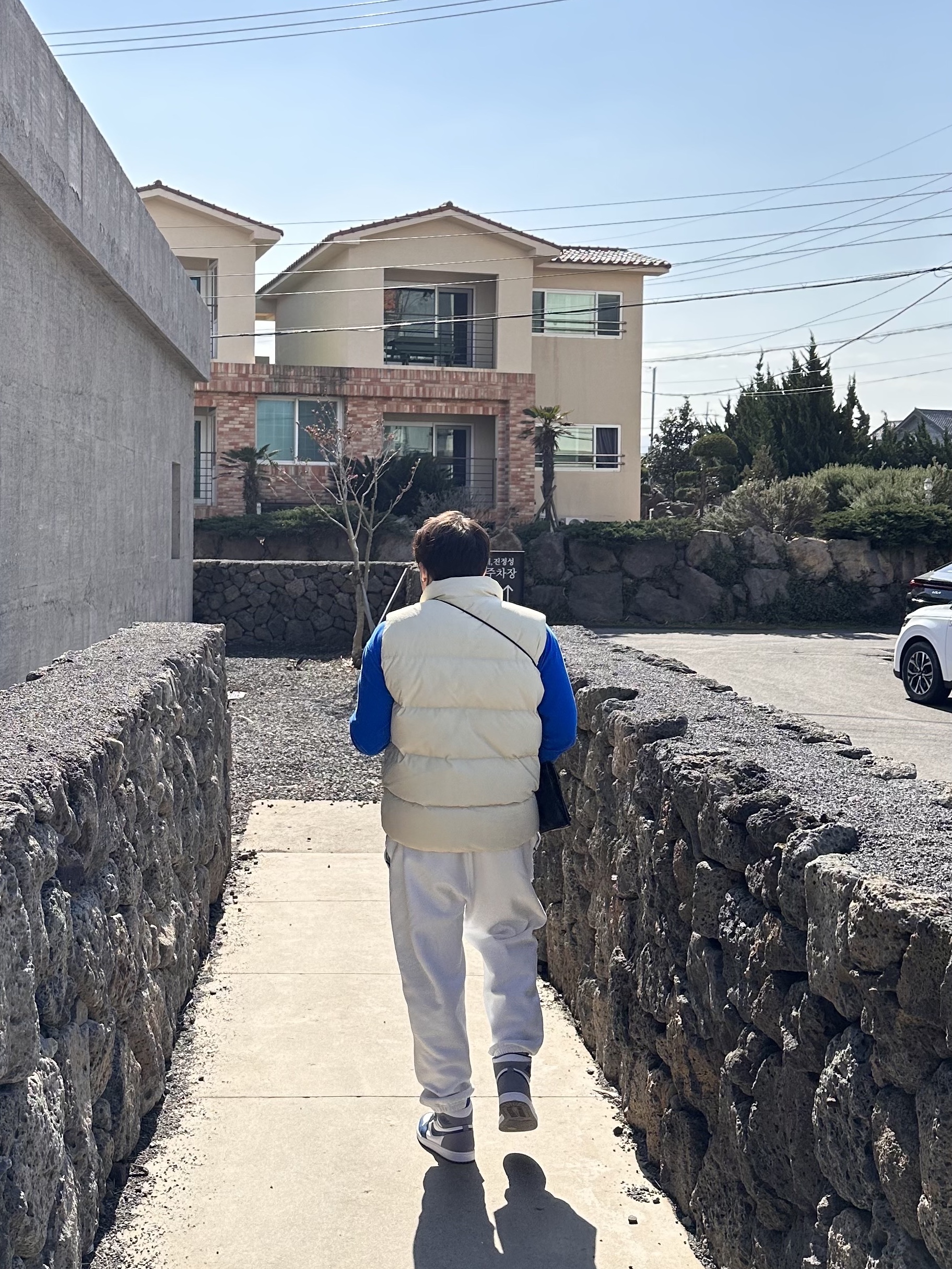 Nike NRG Solo Swoosh Fleece Pants Summit White - US/EU, Jordan 1 Retro High OG True Blue 착용 스타일 - 2