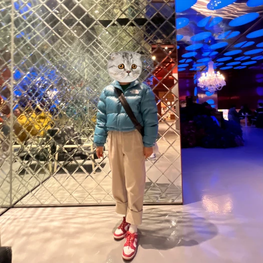 스타일 카드