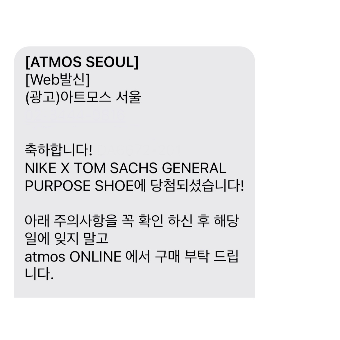 Nike x Tom Sachs General Purpose Shoe Brown 착용 스타일 - 2