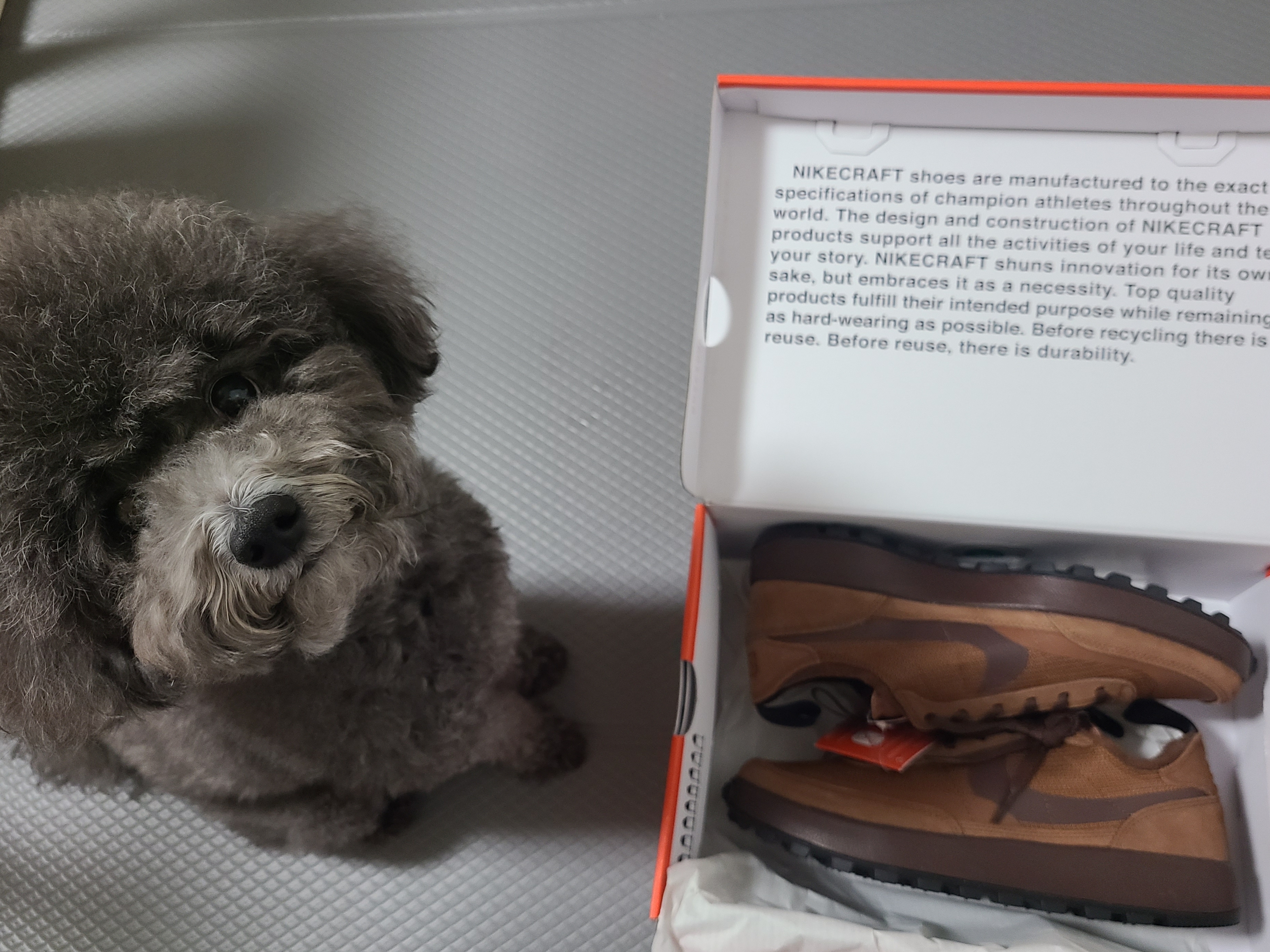 Nike x Tom Sachs General Purpose Shoe Brown 착용 스타일
