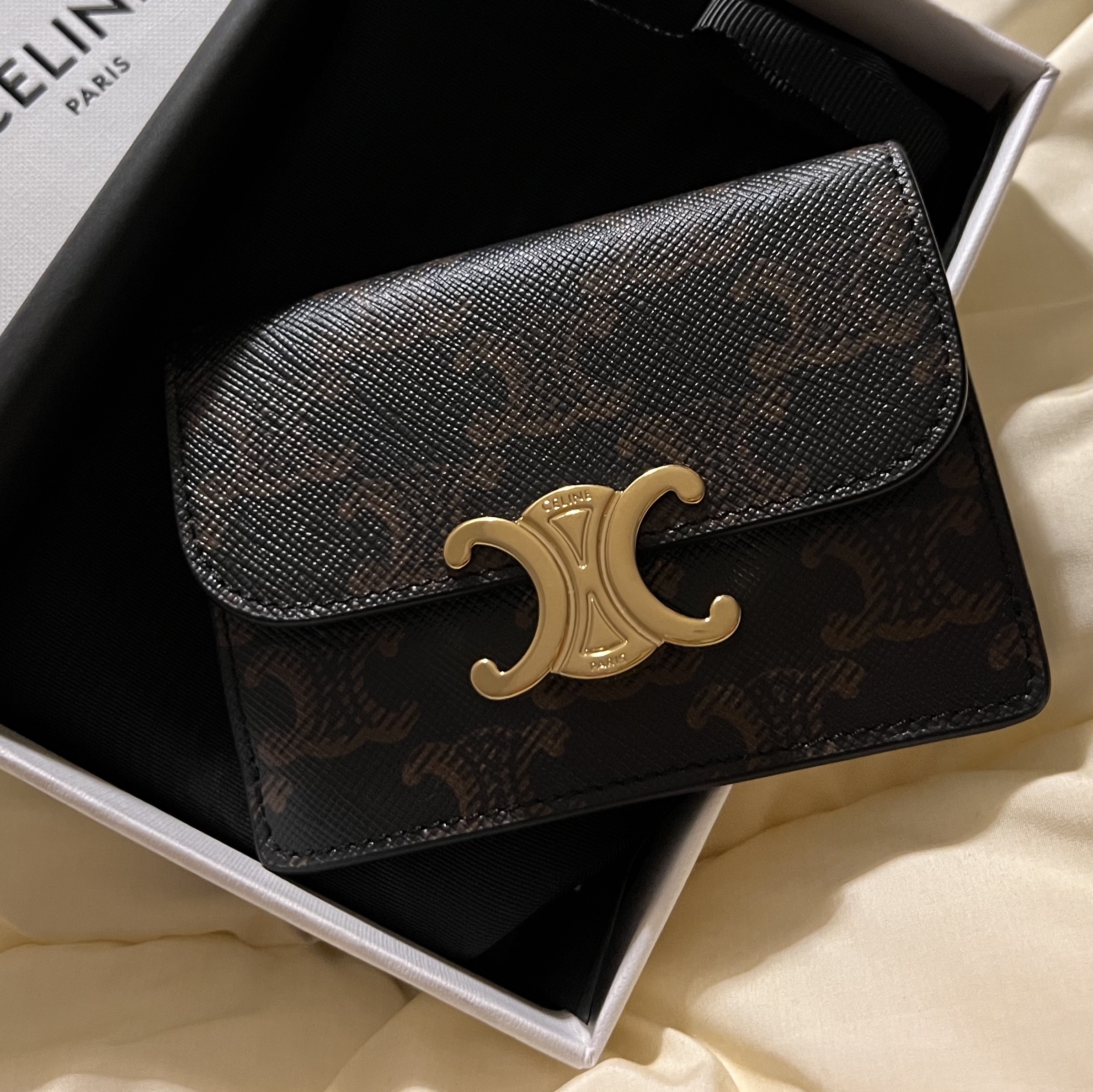 Celine Card Holder with Flap in Triomphe Canvas Tan 착용 스타일