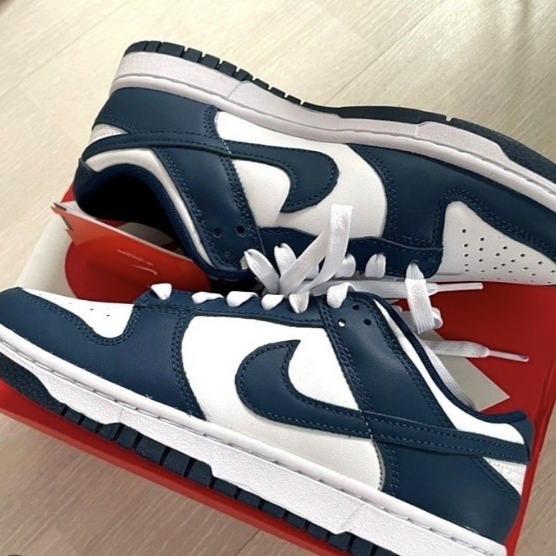 Nike Dunk Low Retro Valerian Blue 착용 스타일