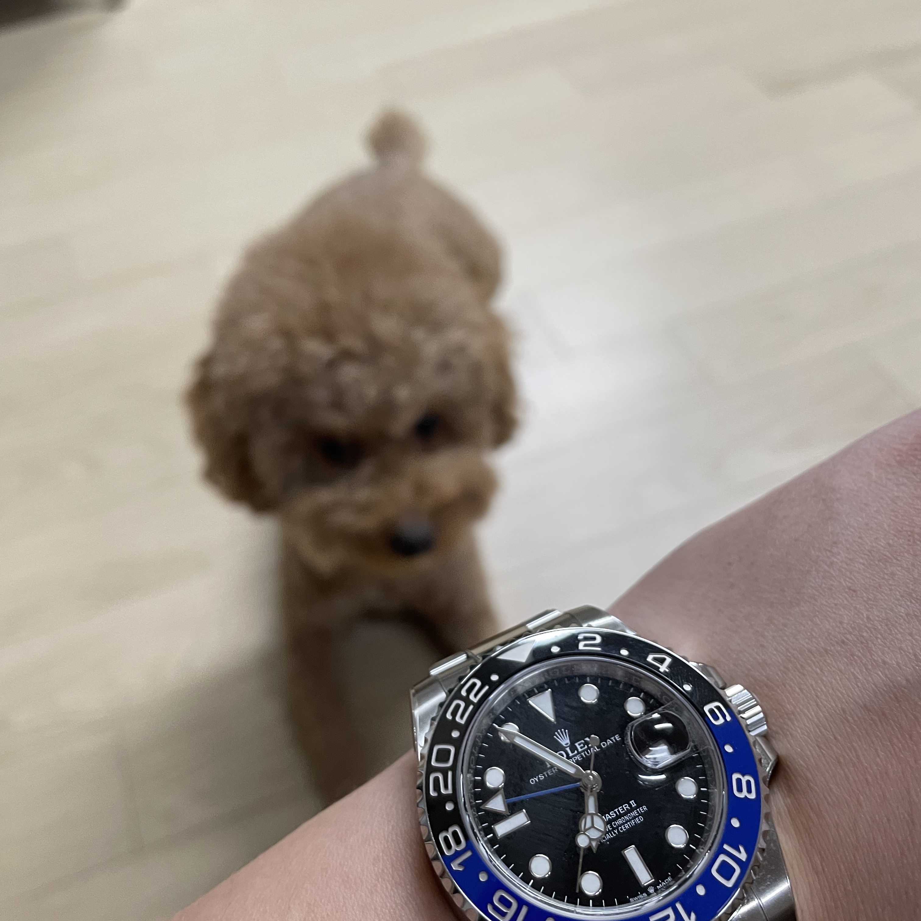Rolex GMT-Master II 40mm 126710BLNR Black Oyster 착용 스타일 - 1