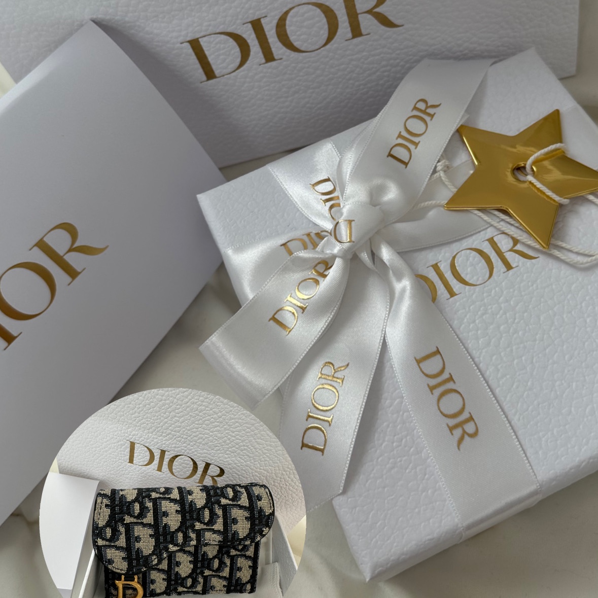 Dior Saddle Flap Card Holder Blue Dior Oblique Jacquard 착용 스타일