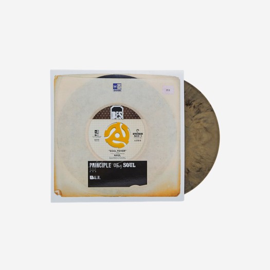 나얼 1집 프린시플 오브 마이 소울 컬러 LP (발매 10주년 기념반)