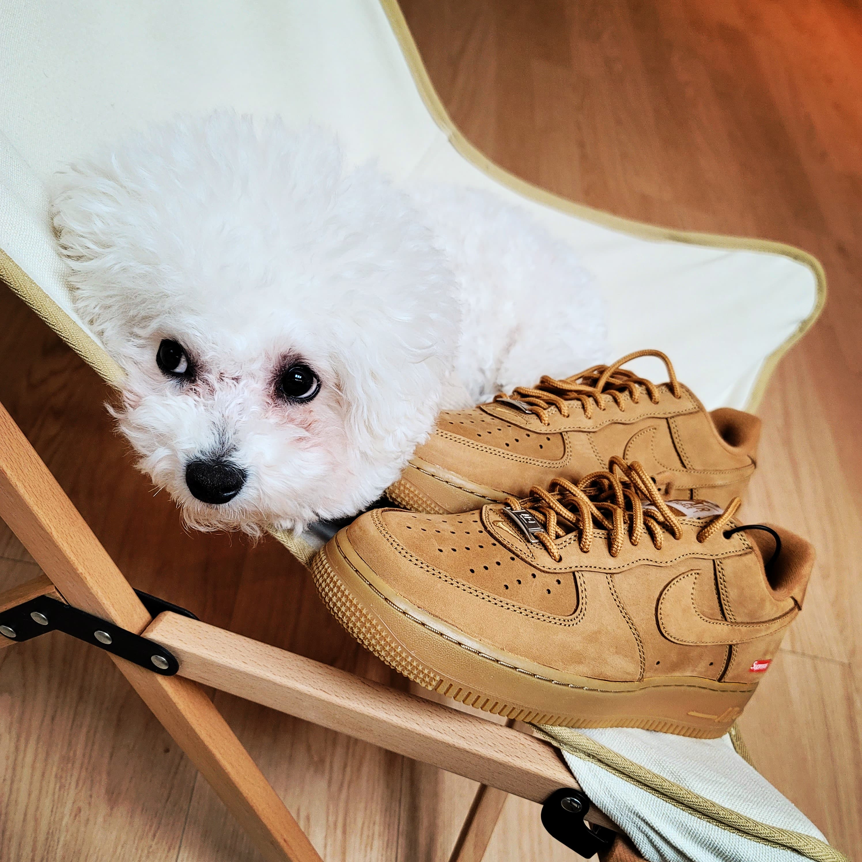 Nike x Supreme Air Force 1 Low Flax 착용 스타일