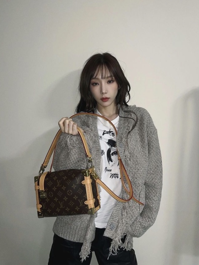 Louis Vuitton Side Trunk Monogram 착용 스타일 - 2
