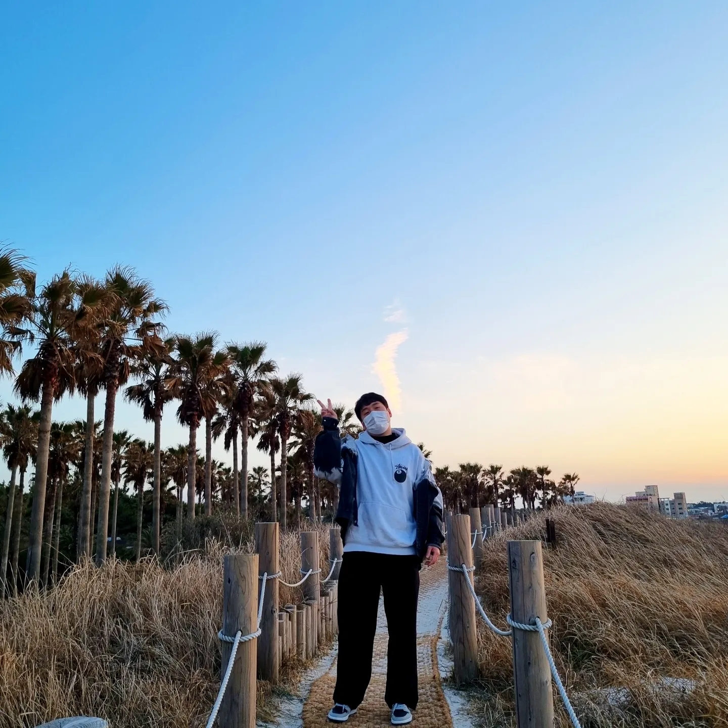 Stussy 8 Ball Hoodie Ash Heather - 21FW, Jordan 1 Retro High OG Shadow 2.0 착용 스타일 - 1
