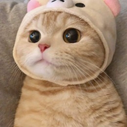 관심 유저 프로필 이미지