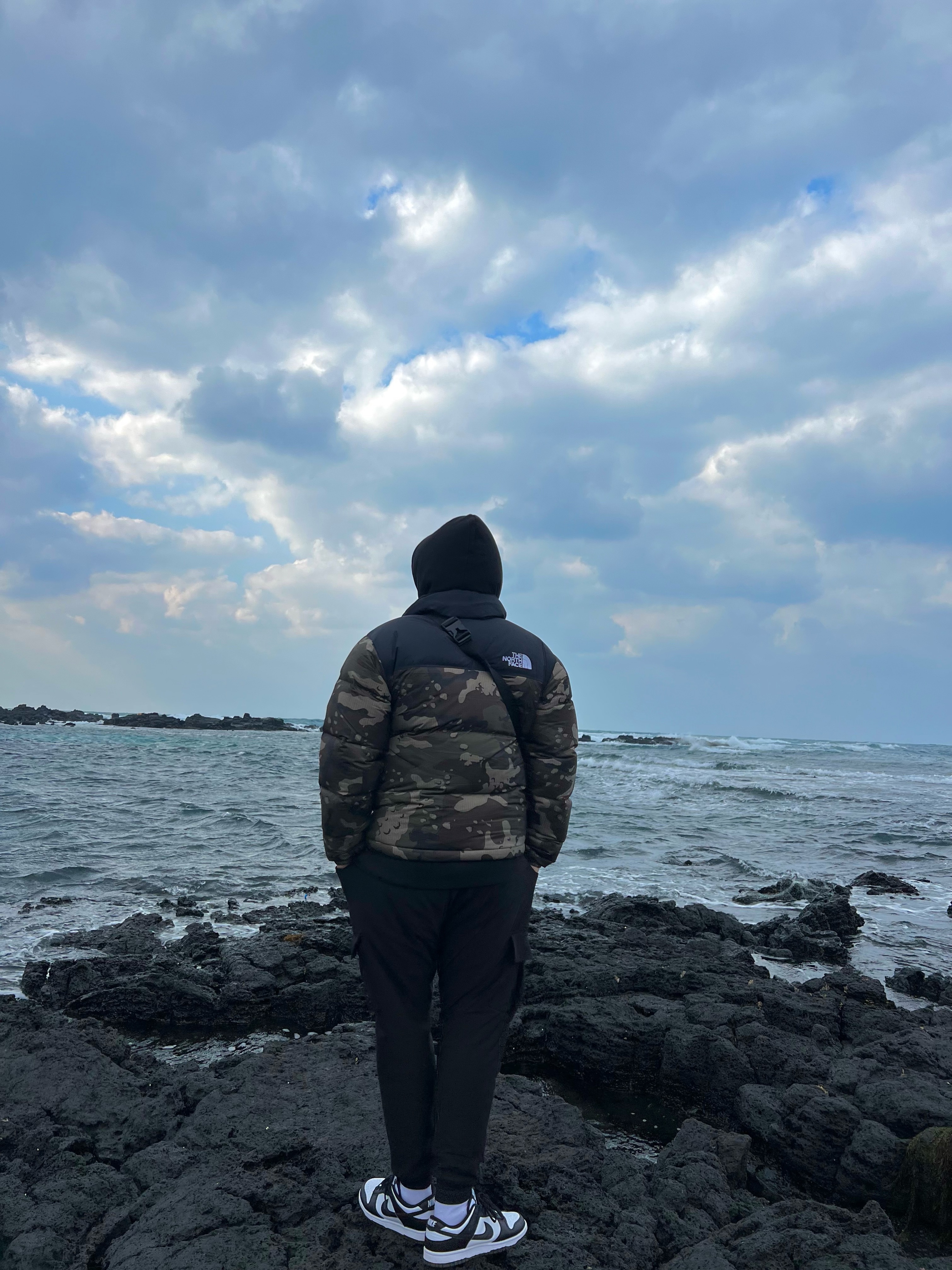 The North Face 1996 Novelty Nuptse Jacket Woodland Camo, Nike Dunk Low Retro Black 착용 스타일
